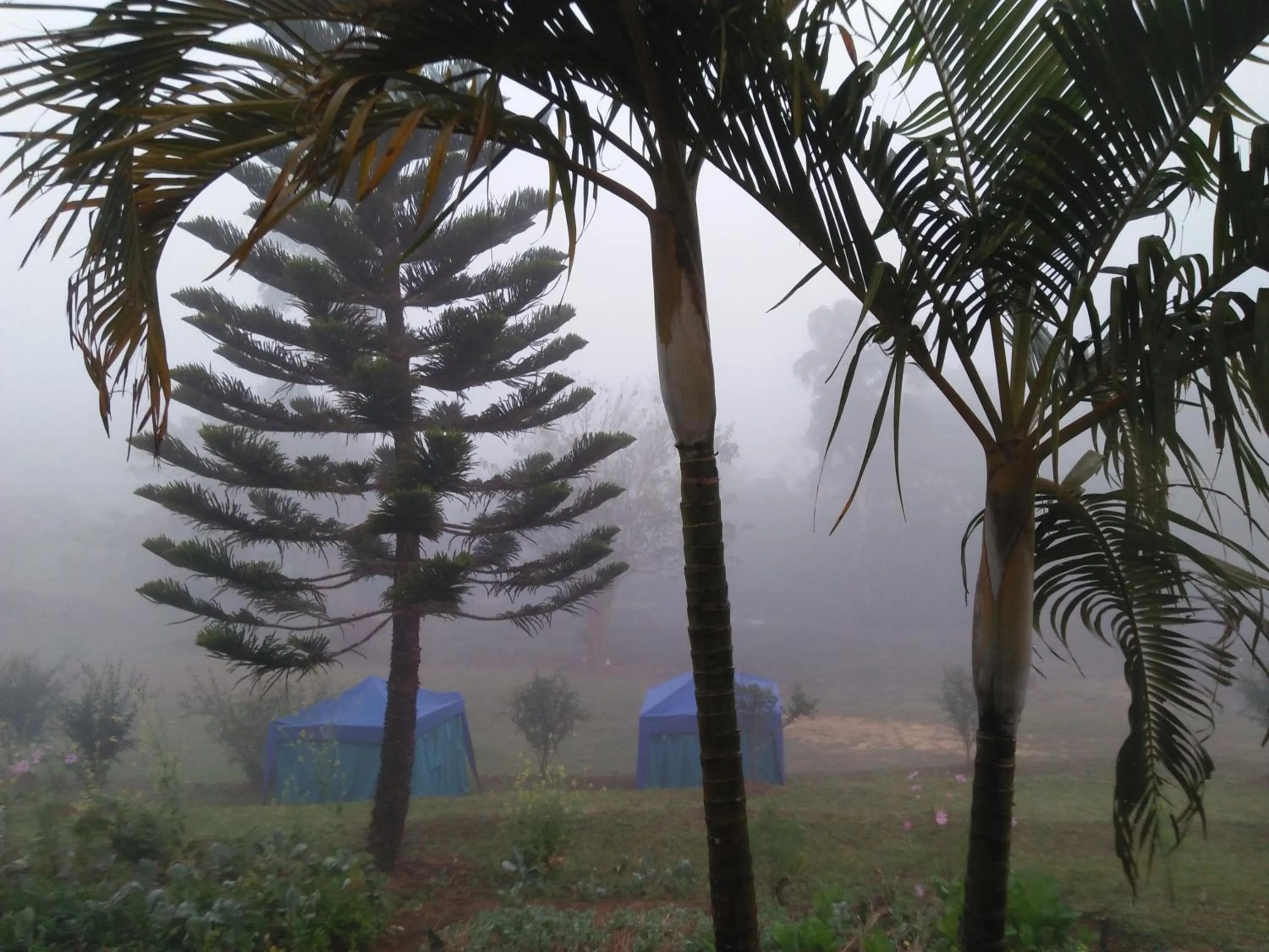 Mong Homestay Resort