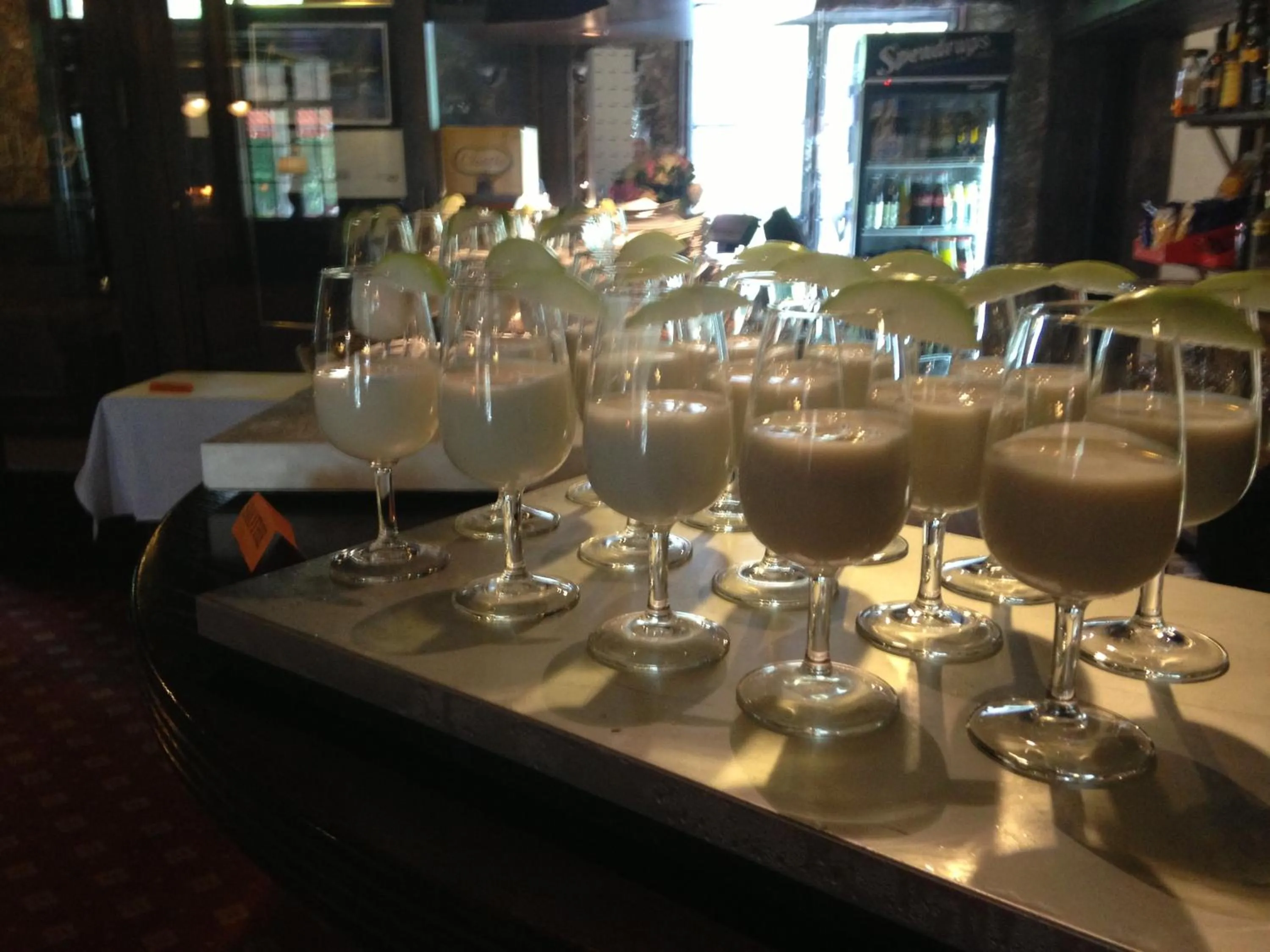 Hotell Plevnagården