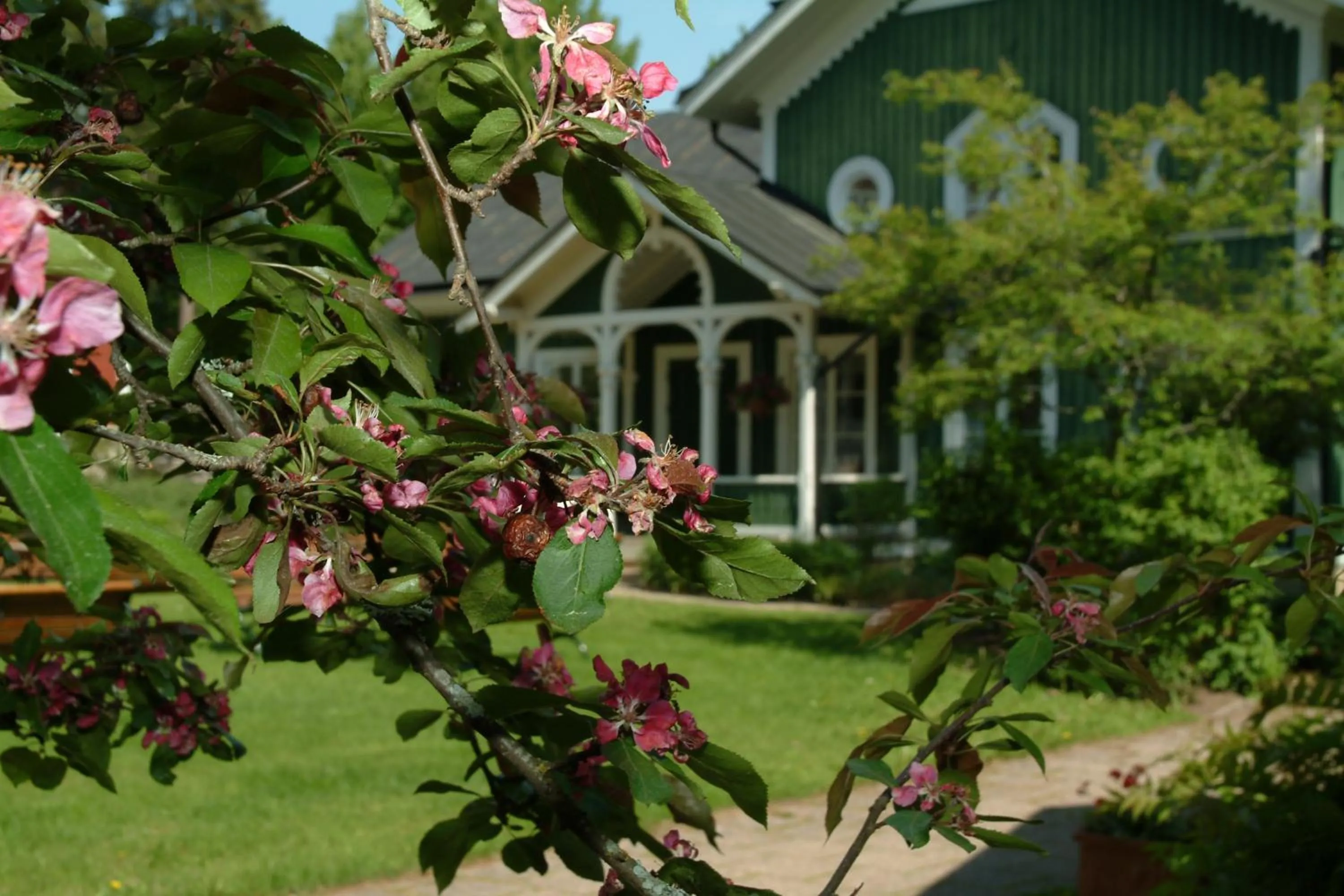 Facade/entrance in Hotell Plevnagården