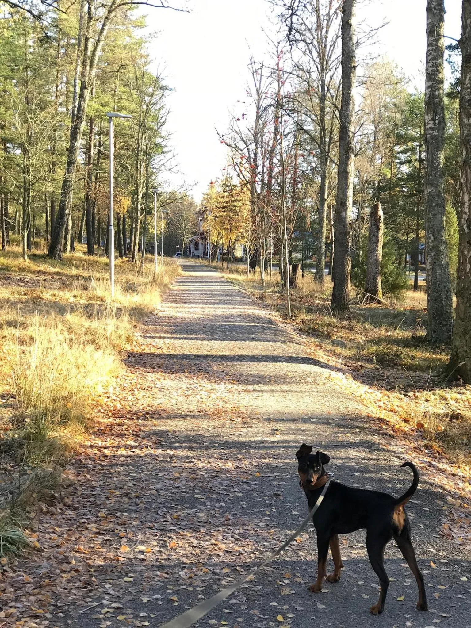 Hotell Plevnagården