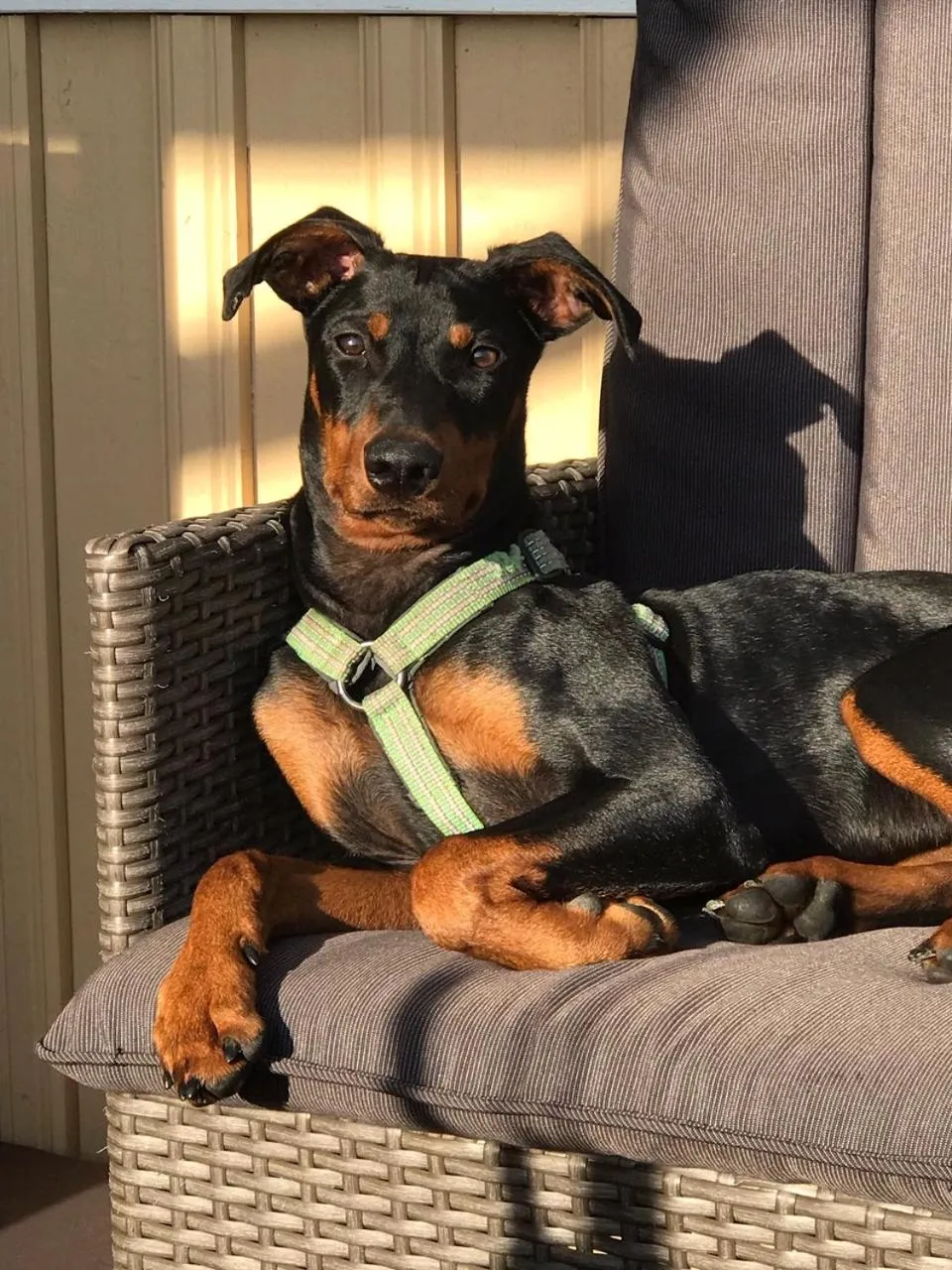 Hotell Plevnagården