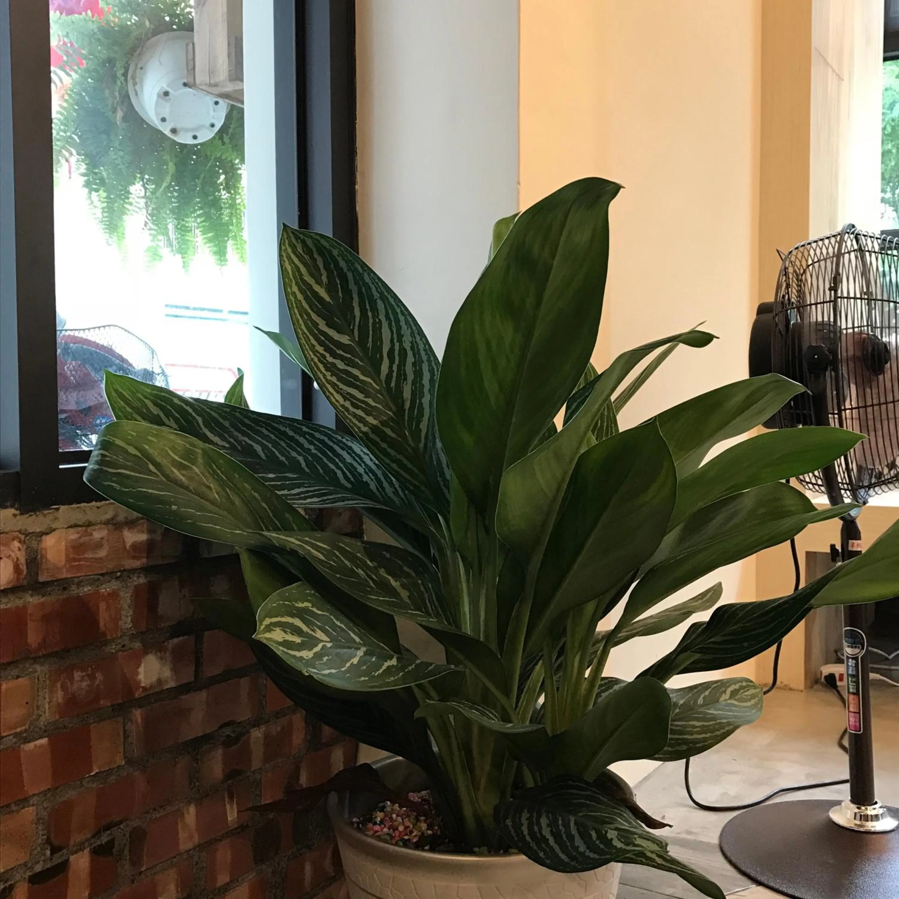 Living room in Chi Chu B&B