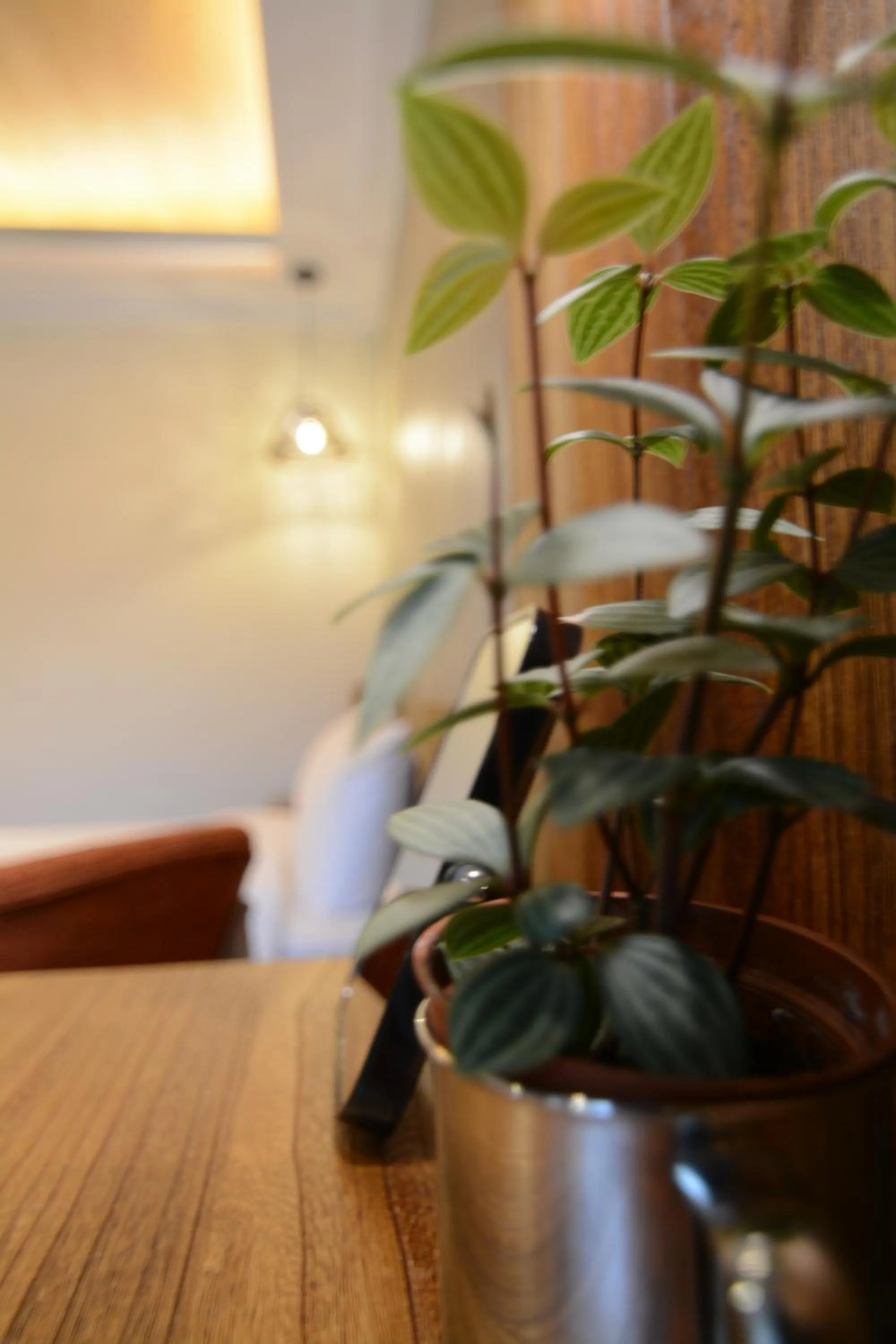 Bedroom in Chi Chu B&B