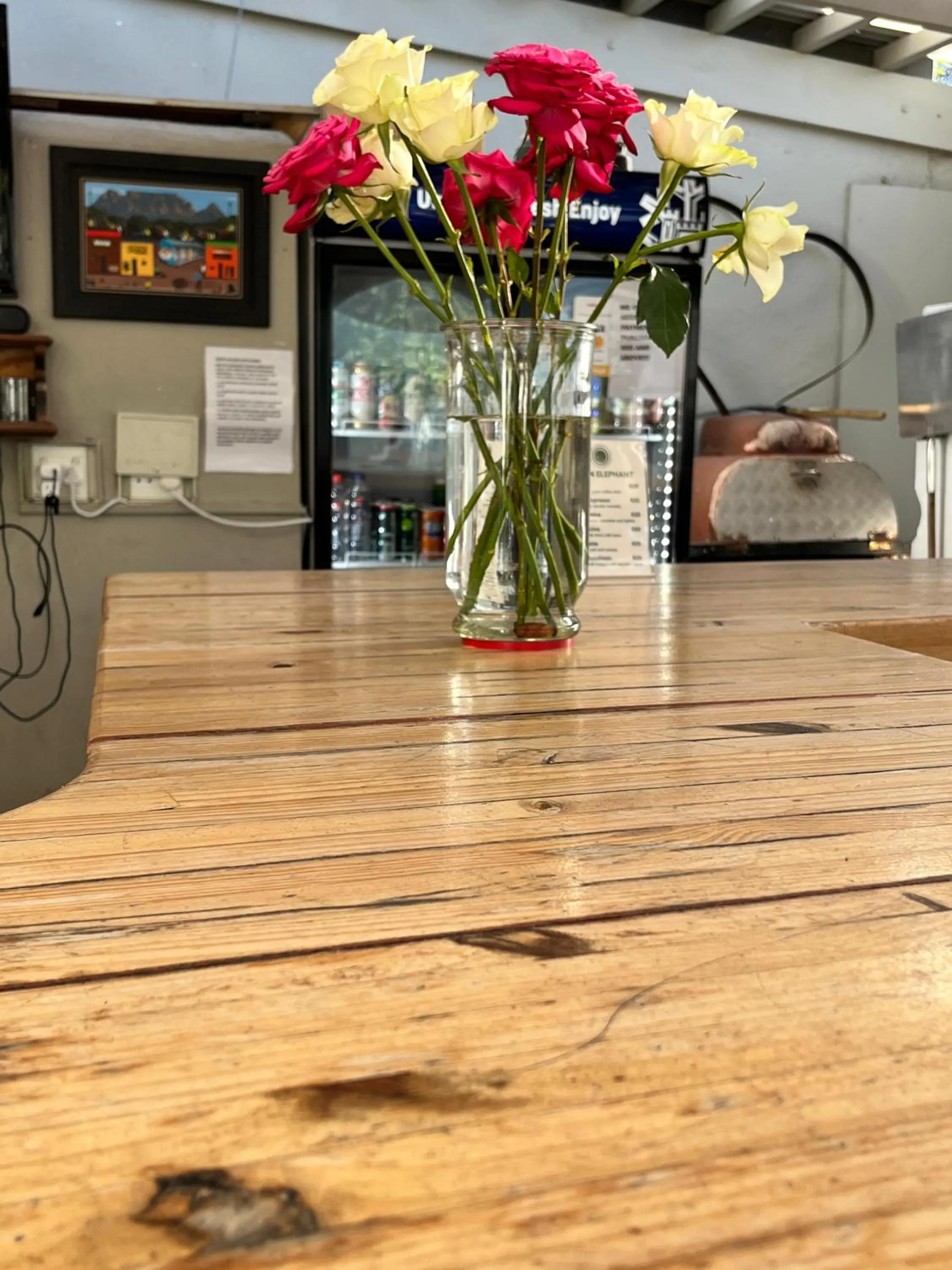 Green Elephant Backpackers