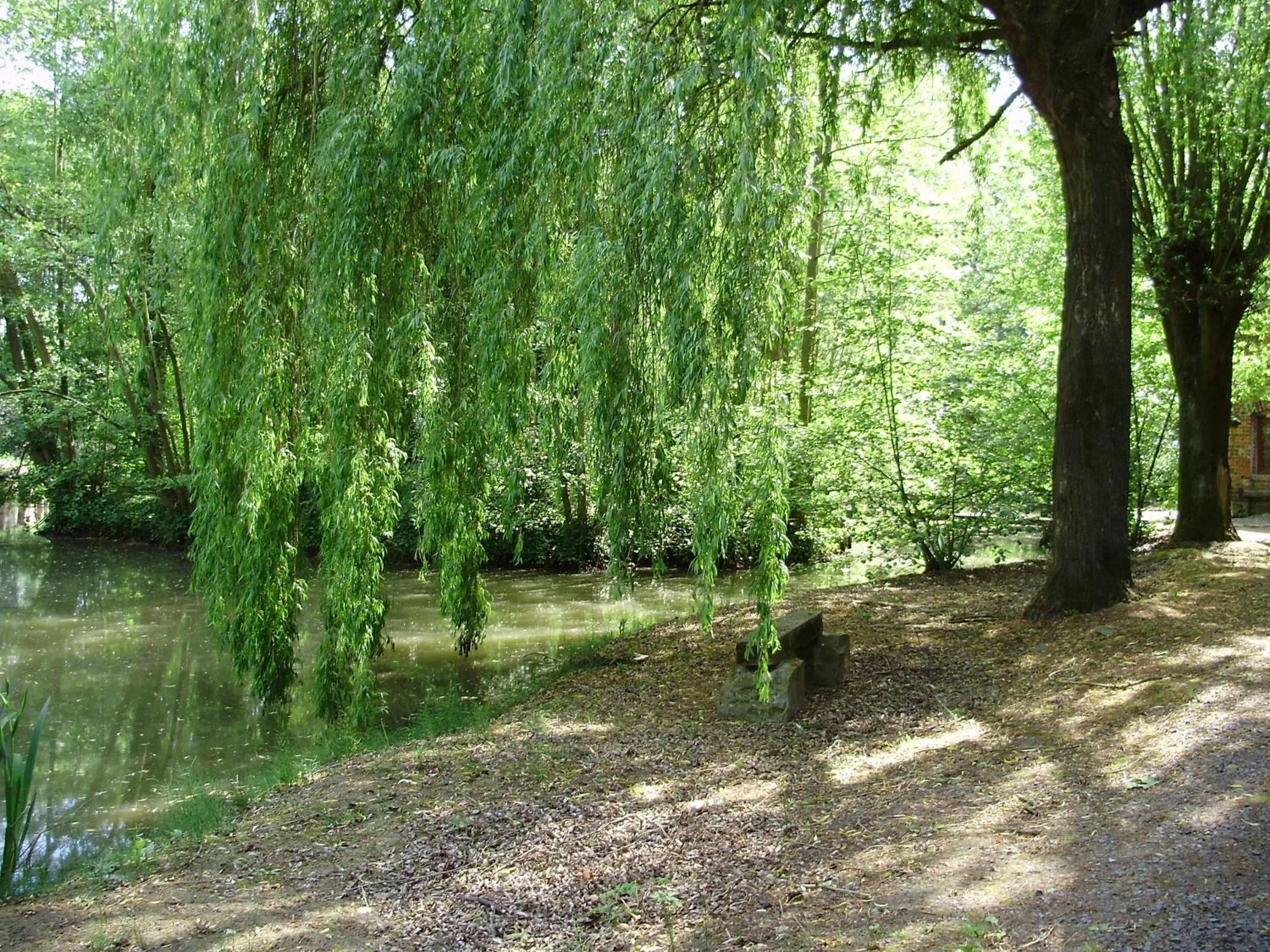 Garden in AUBERGE du BORD des EAUX - Demi-pension assurée sur réservation