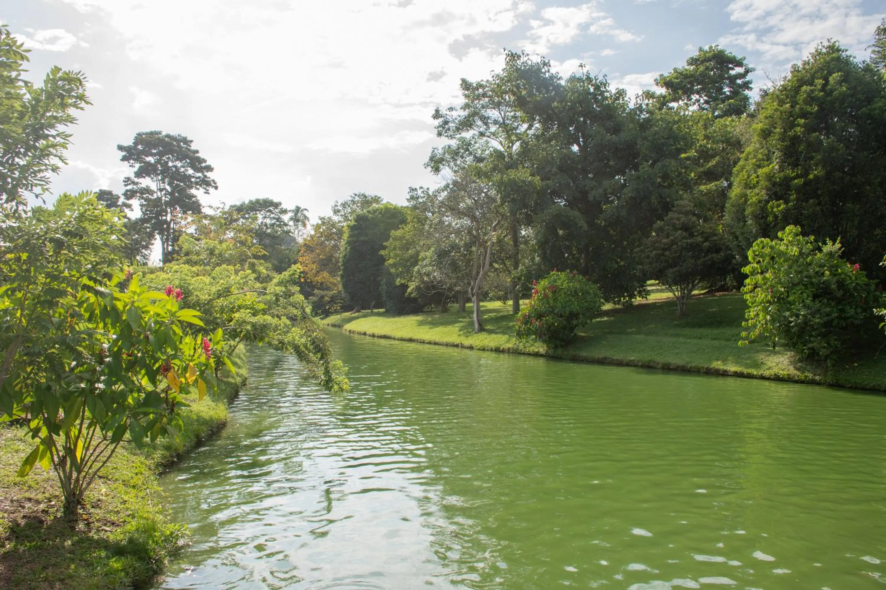 Lake view in La Herencia Hotel