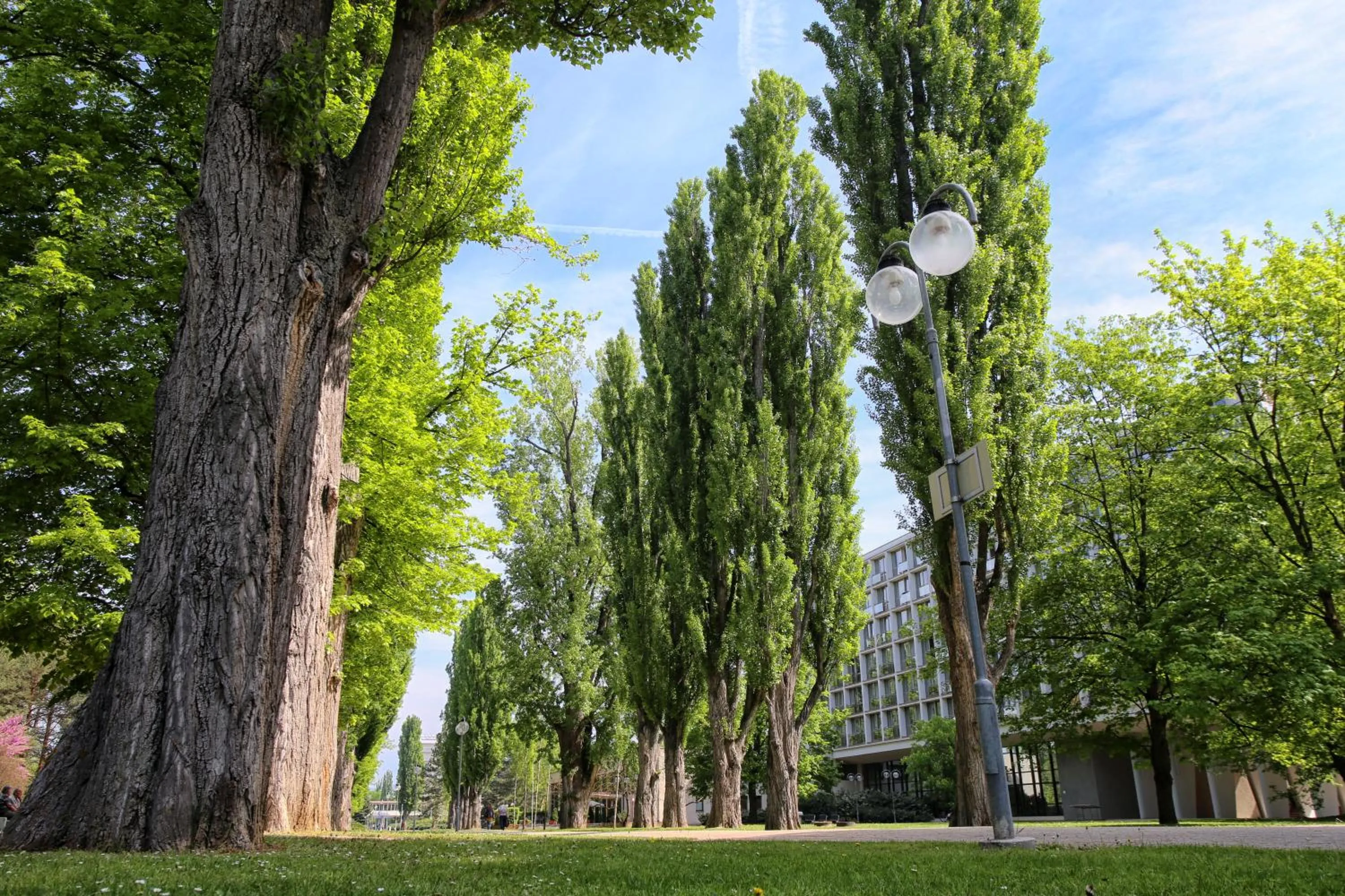 Natural landscape in Ensana Splendid