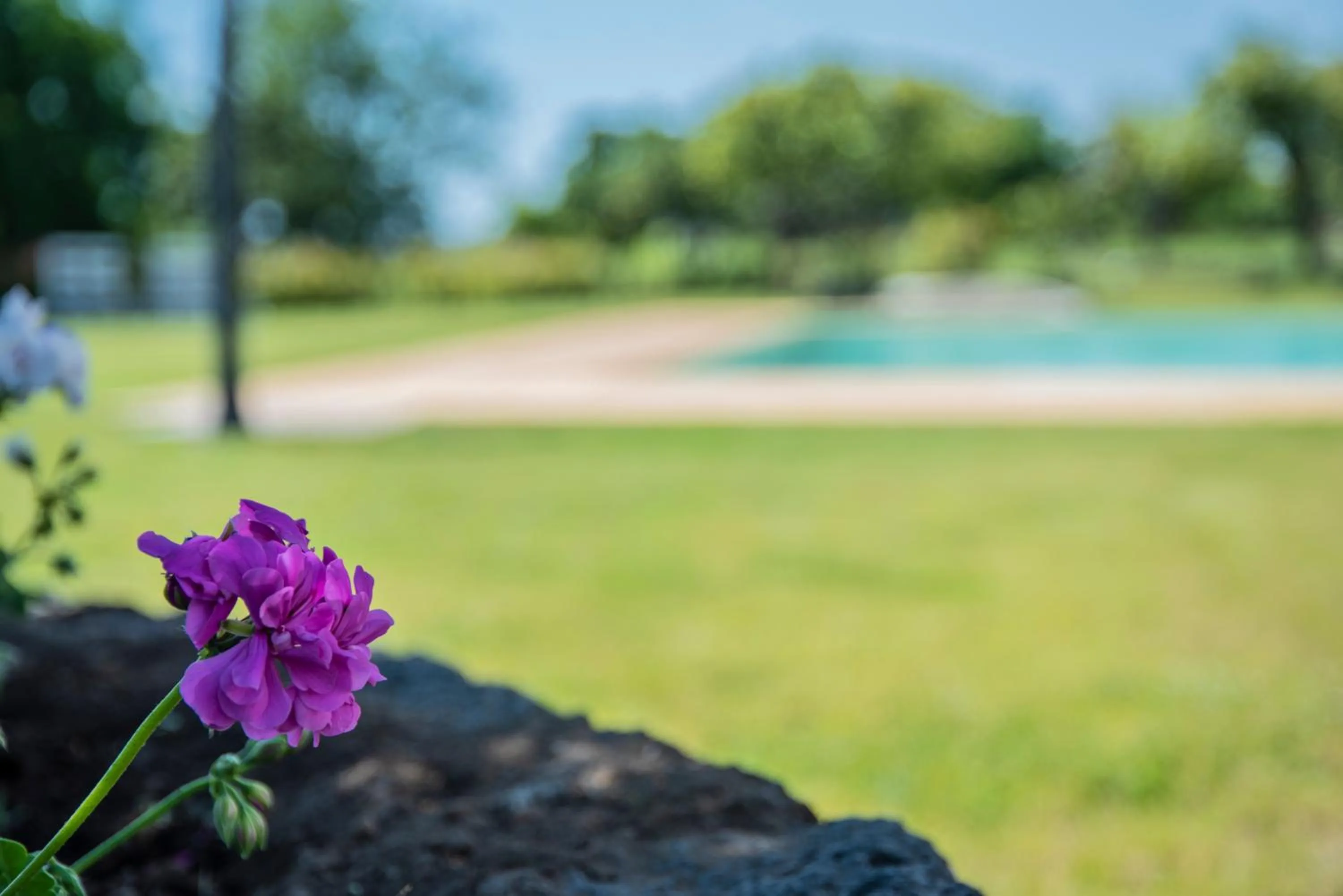 Natural landscape in AGRO Sicily