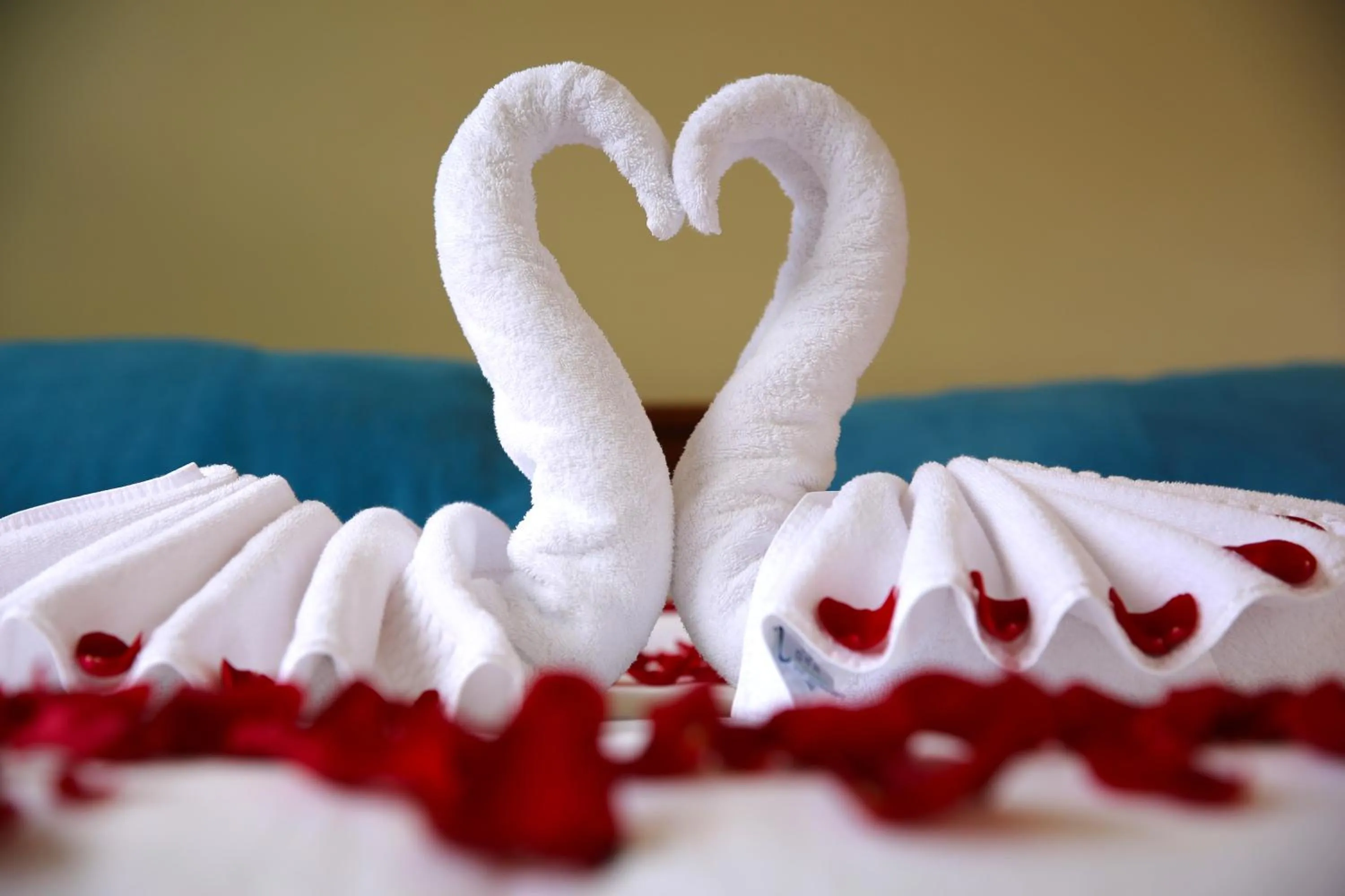 Bed in Hotel Donde Marcelo