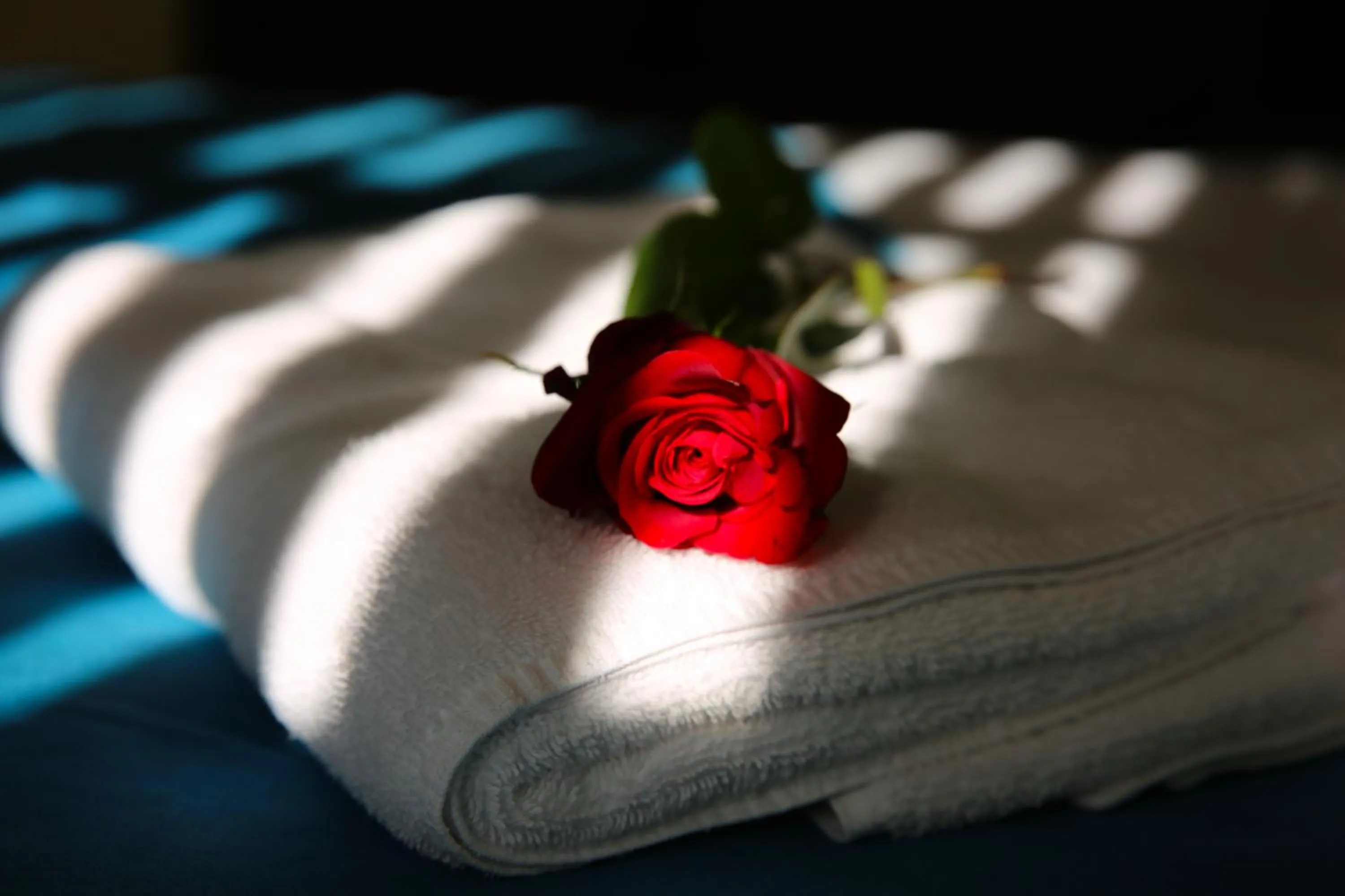 Bed in Hotel Donde Marcelo