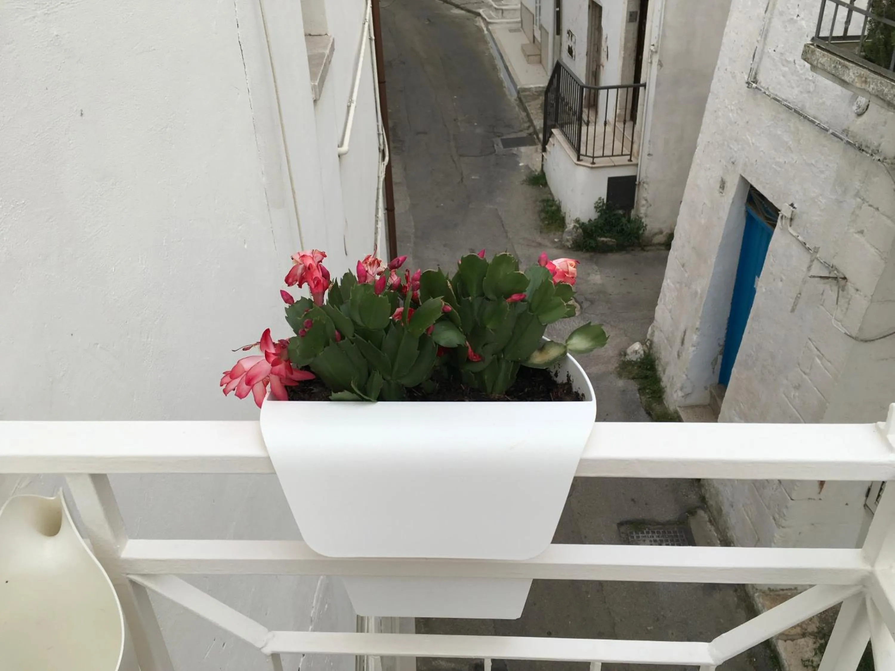 Balcony/Terrace in Casa Carlotta
