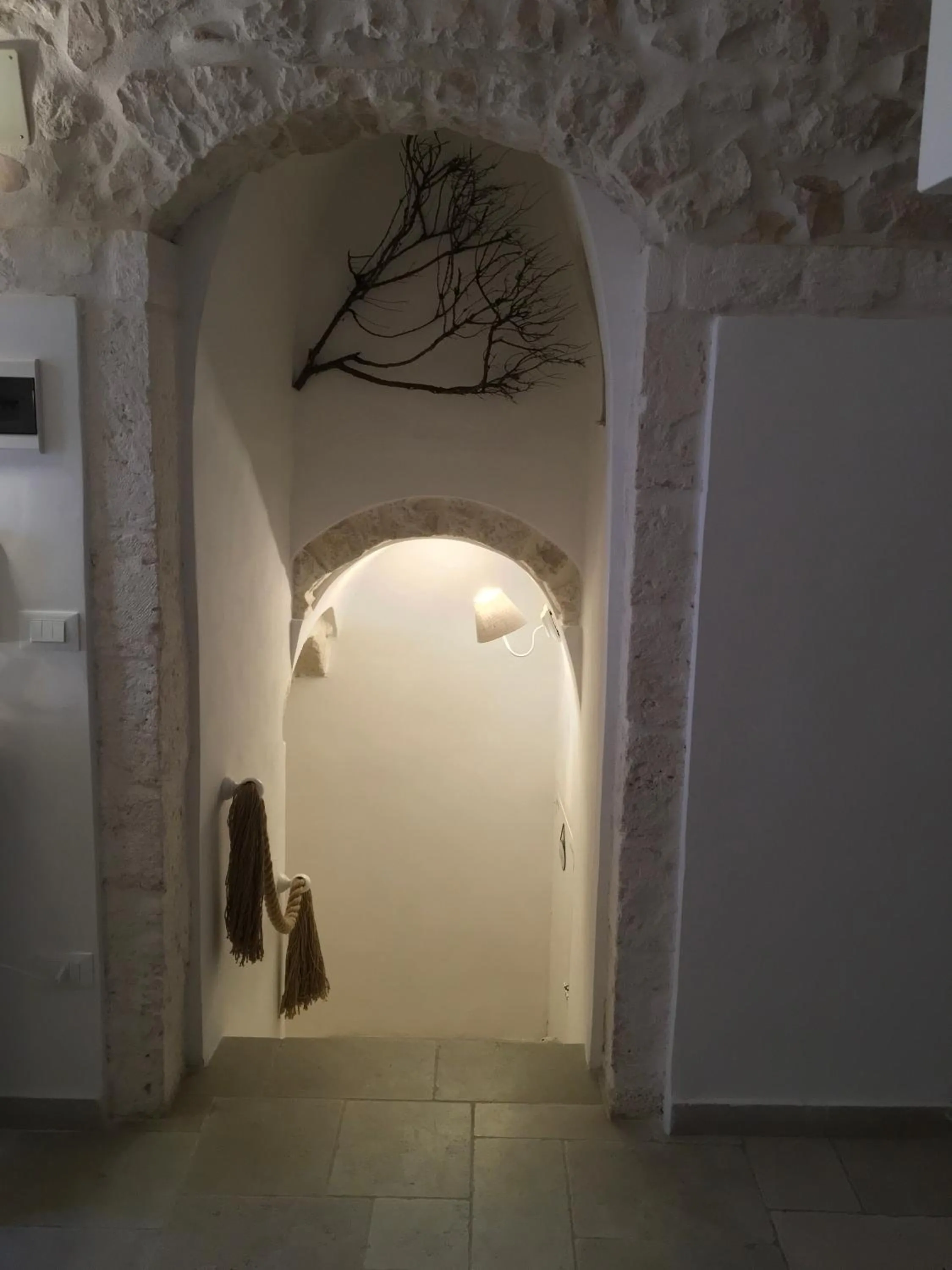 Other in Casa Carlotta
