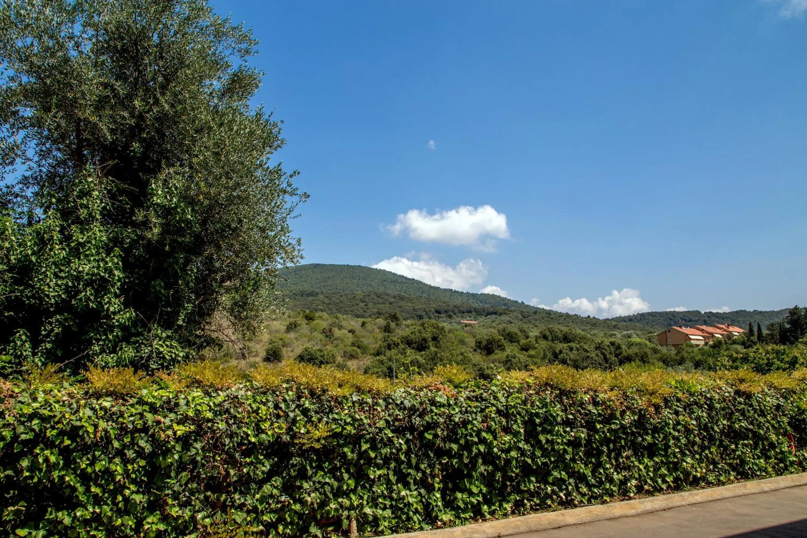Quiet street view in Valle Del Buttero