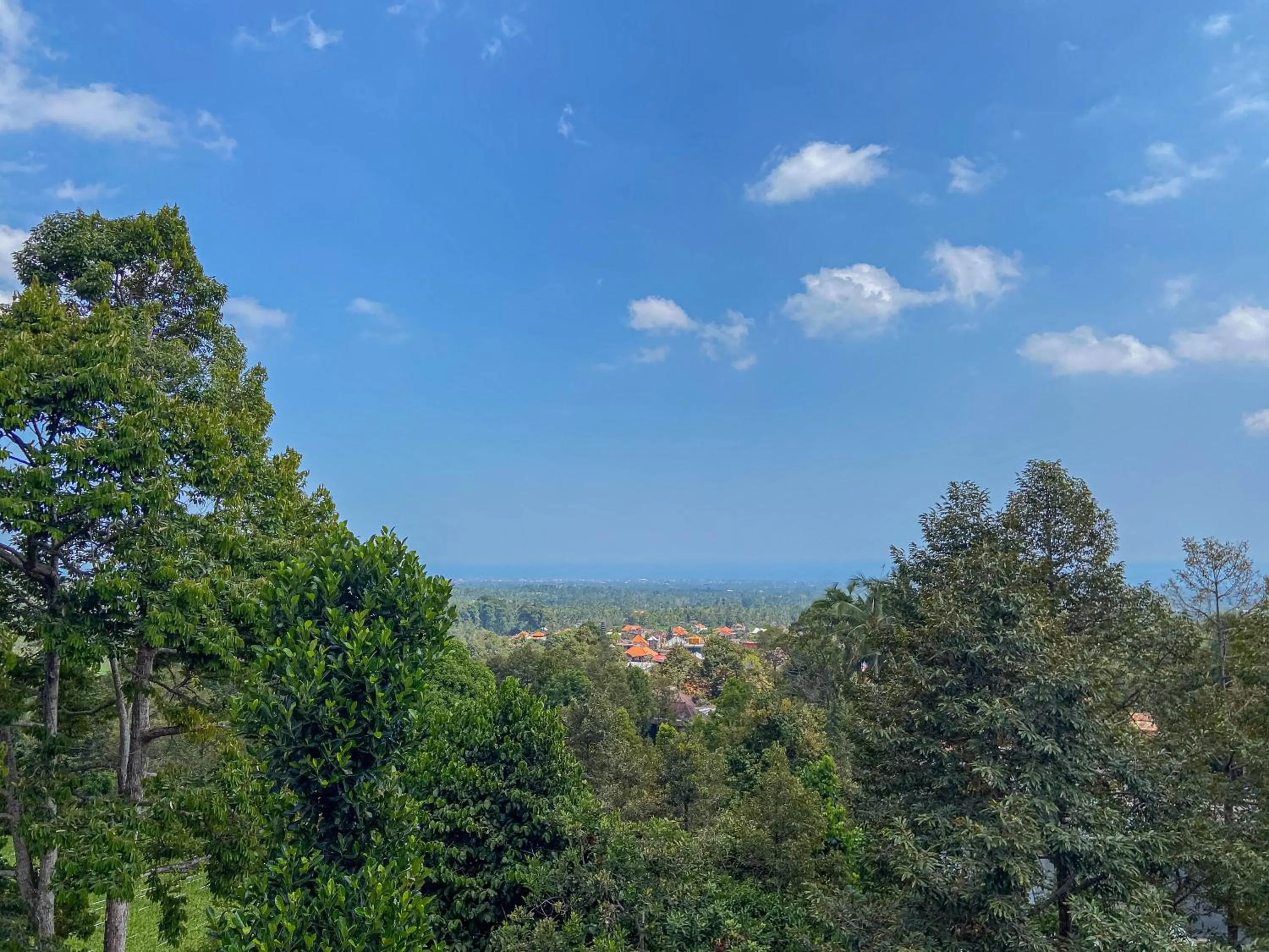 View (from property/room) in Mandhasativa Homestay