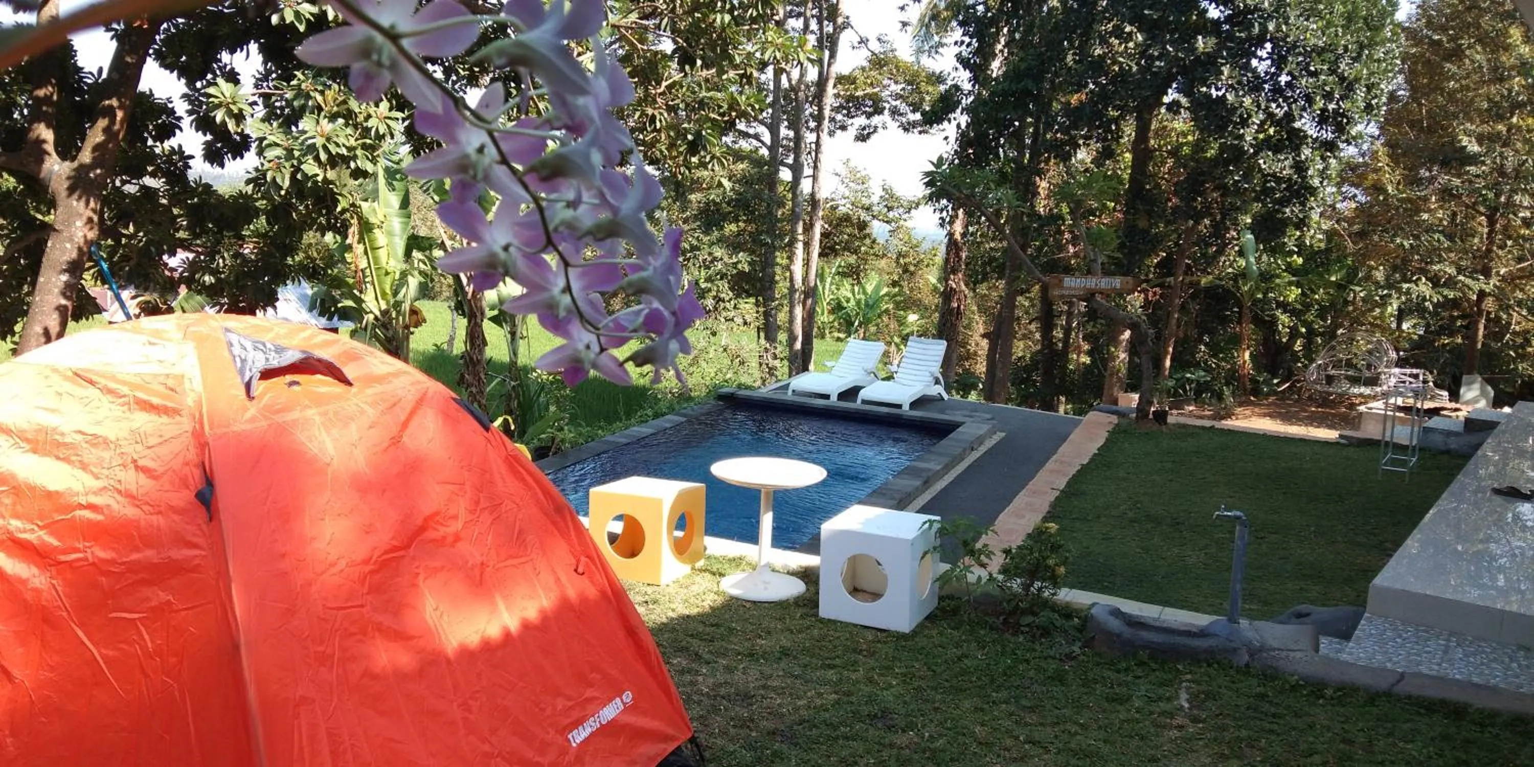 Garden in Mandhasativa Homestay