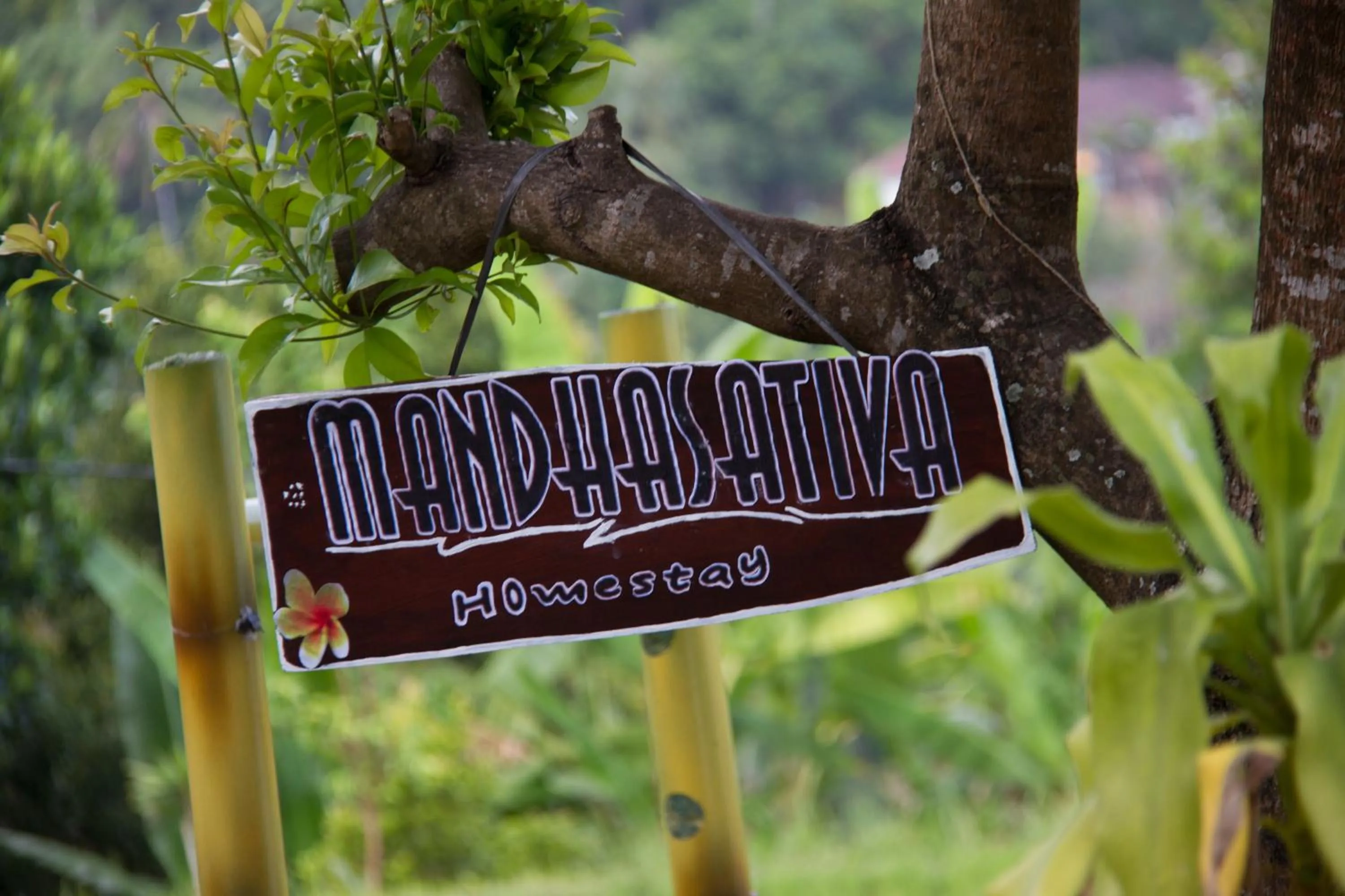 Property logo or sign in Mandhasativa Homestay