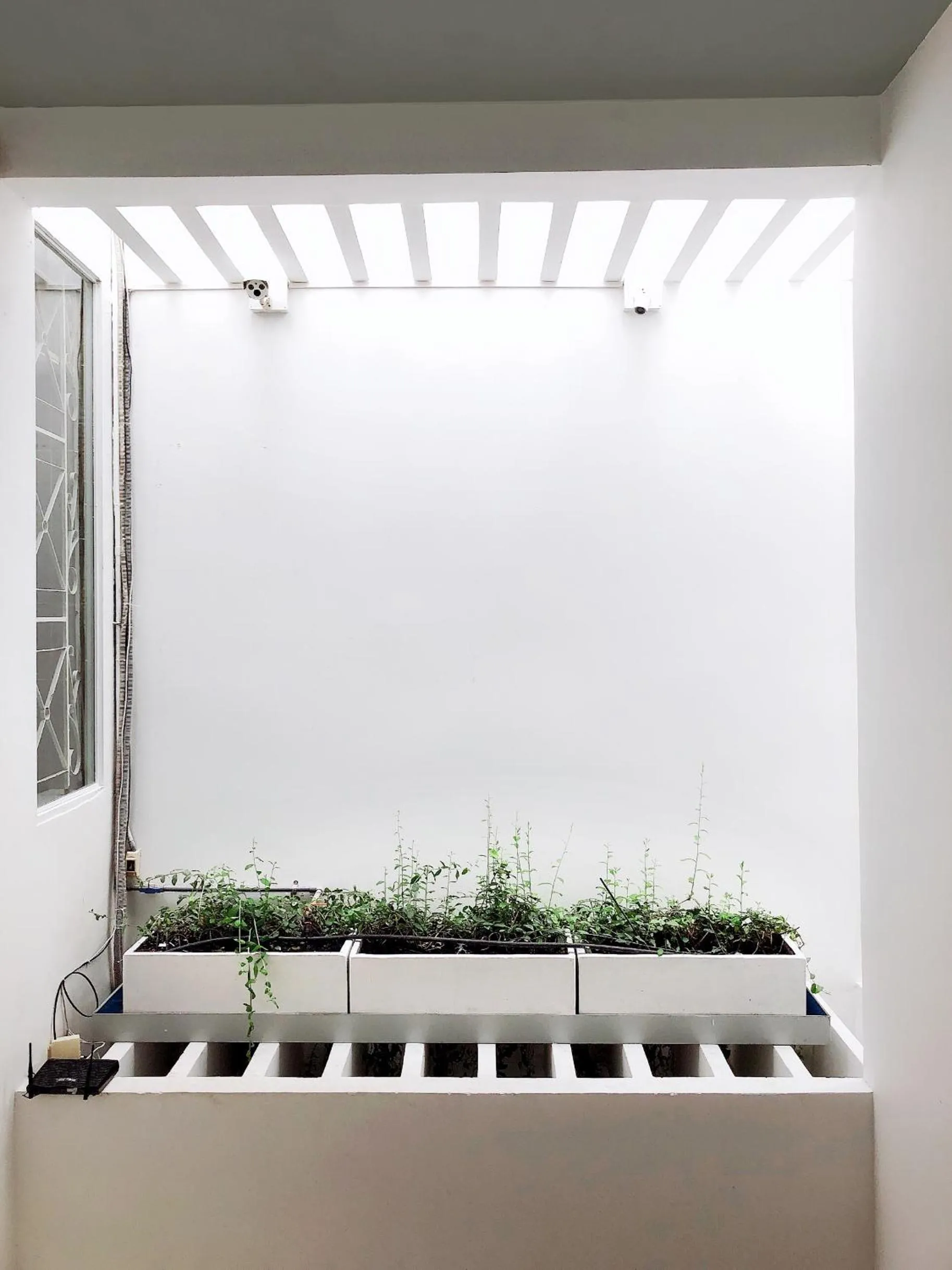 Garden in AYA Homestay