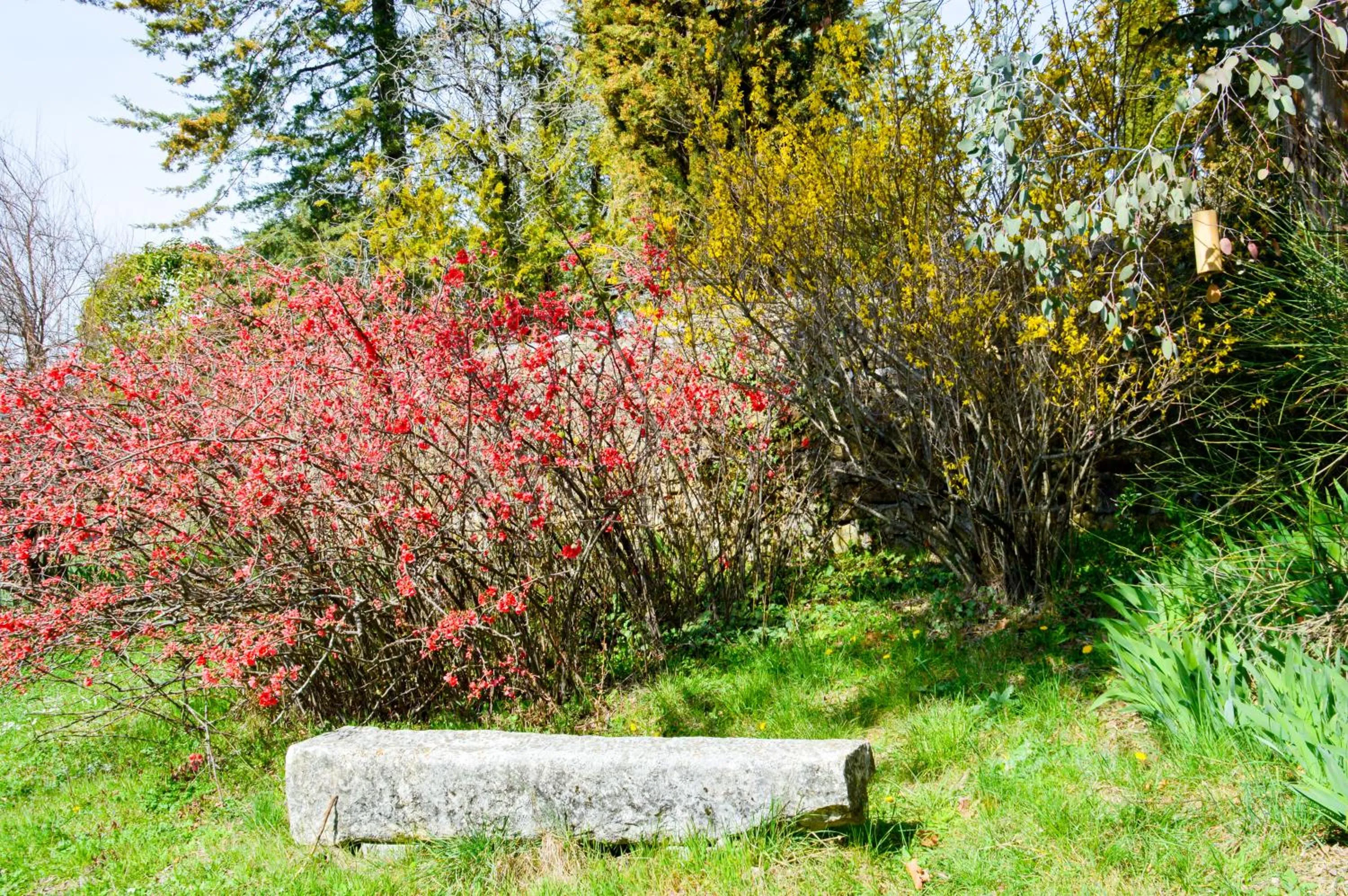 Garden in La Bastide Du Claus - Vitaverde