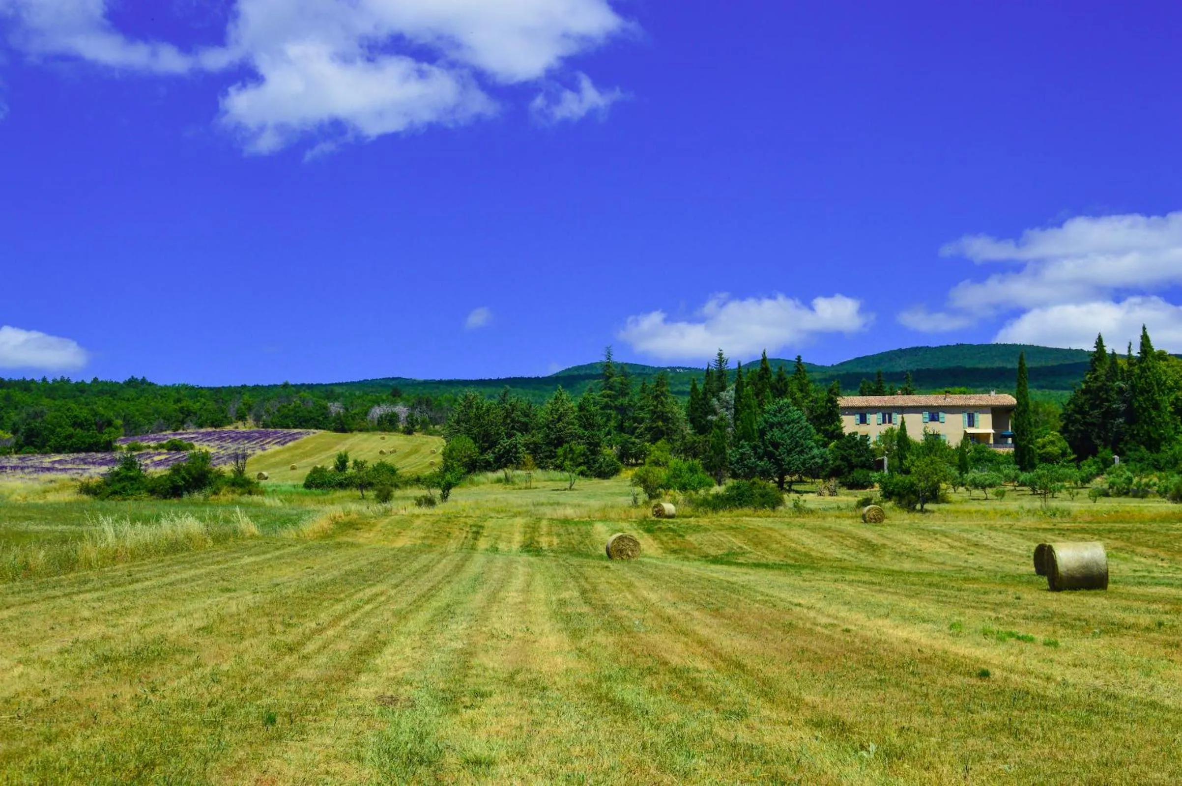 Natural landscape in La Bastide Du Claus - Vitaverde