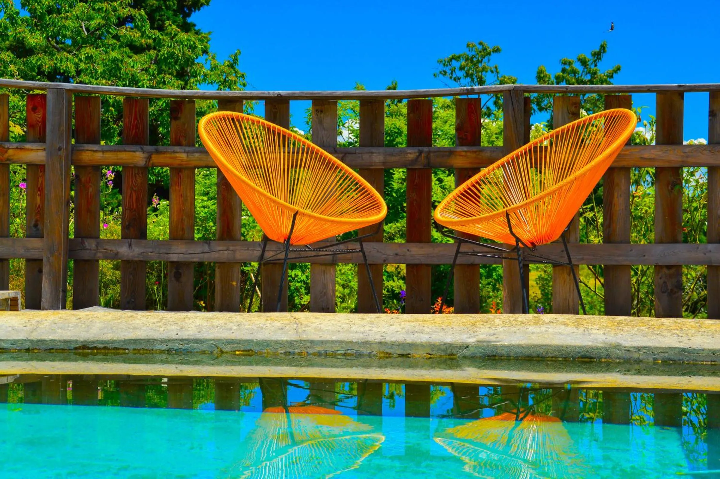 Swimming pool in La Bastide Du Claus - Vitaverde