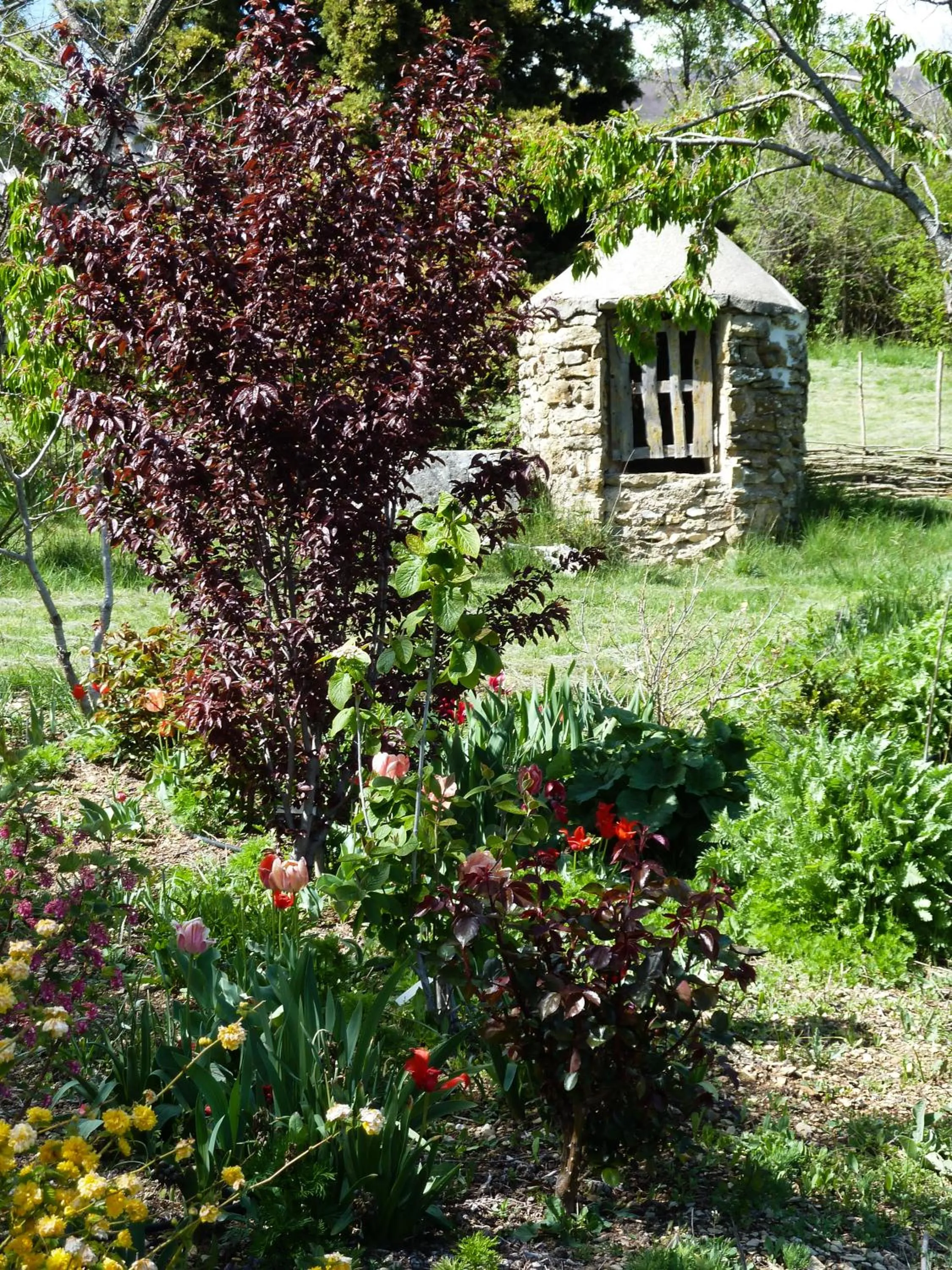 Garden in La Bastide Du Claus - Vitaverde