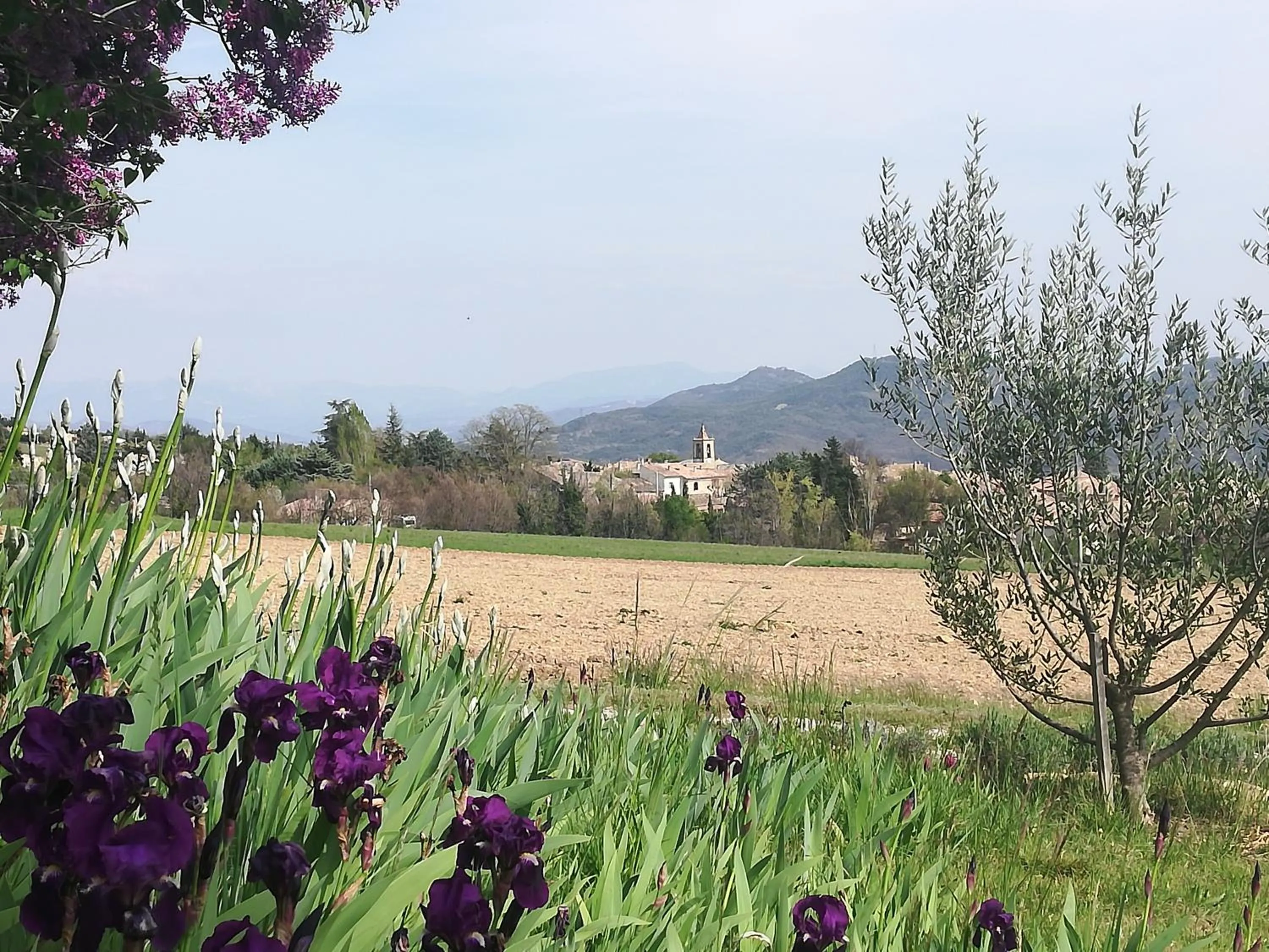 Natural landscape in La Bastide Du Claus - Vitaverde