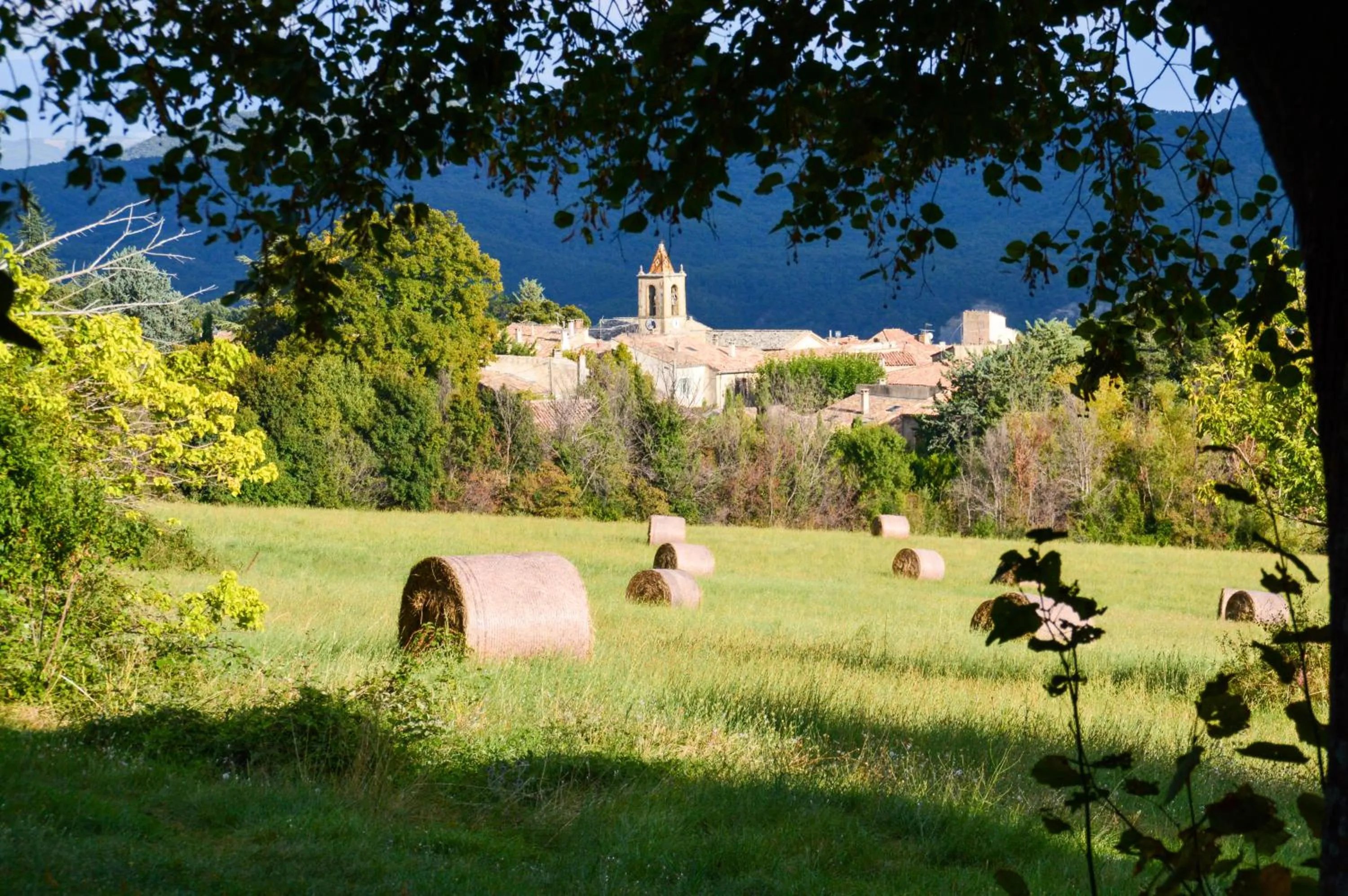 Garden in La Bastide Du Claus - Vitaverde