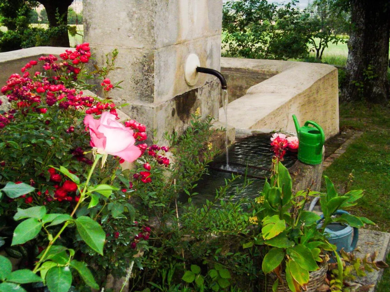 Garden in La Bastide Du Claus - Vitaverde