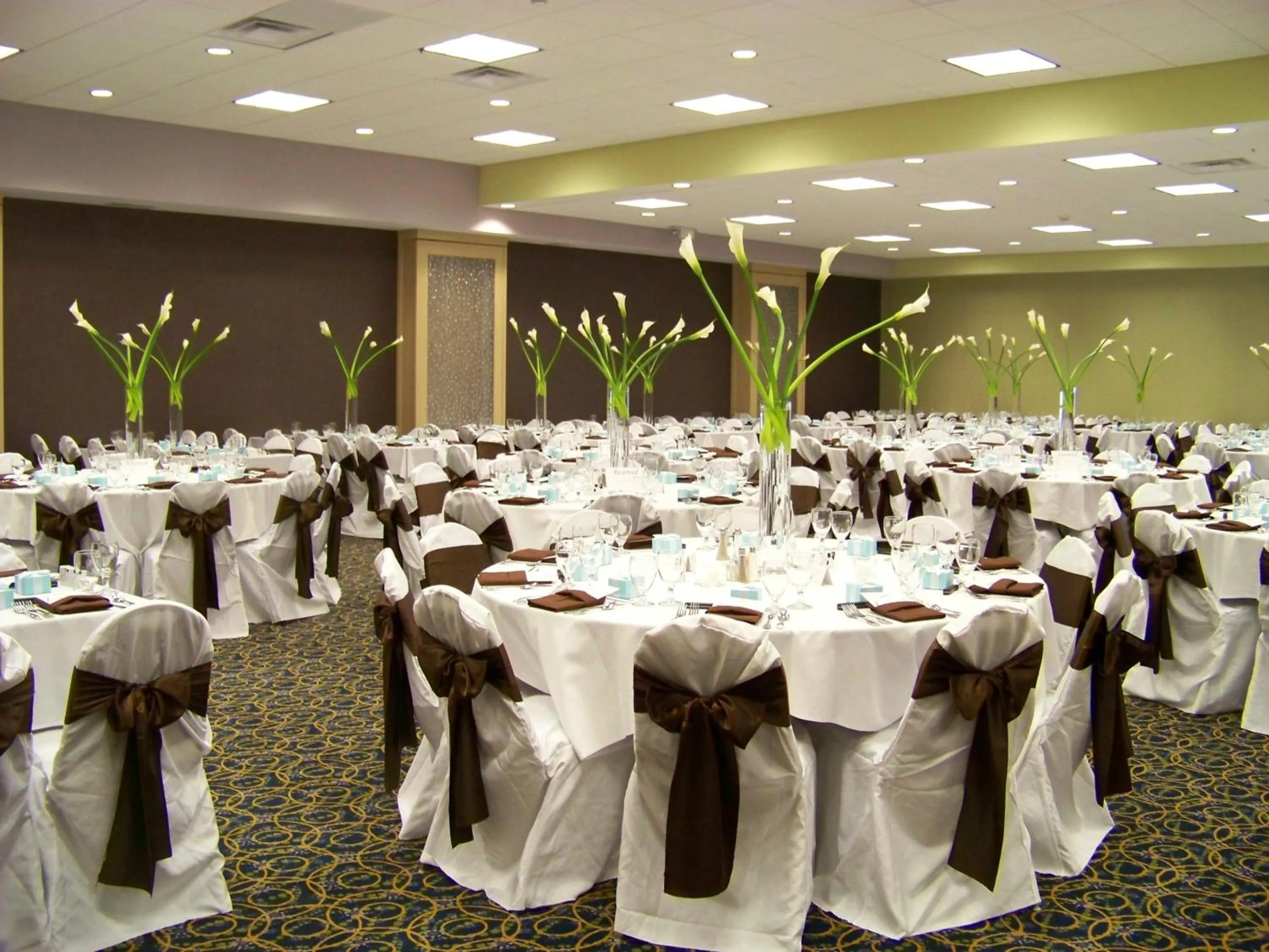 Banquet/Function facilities in Holiday Inn Rock Springs by IHG