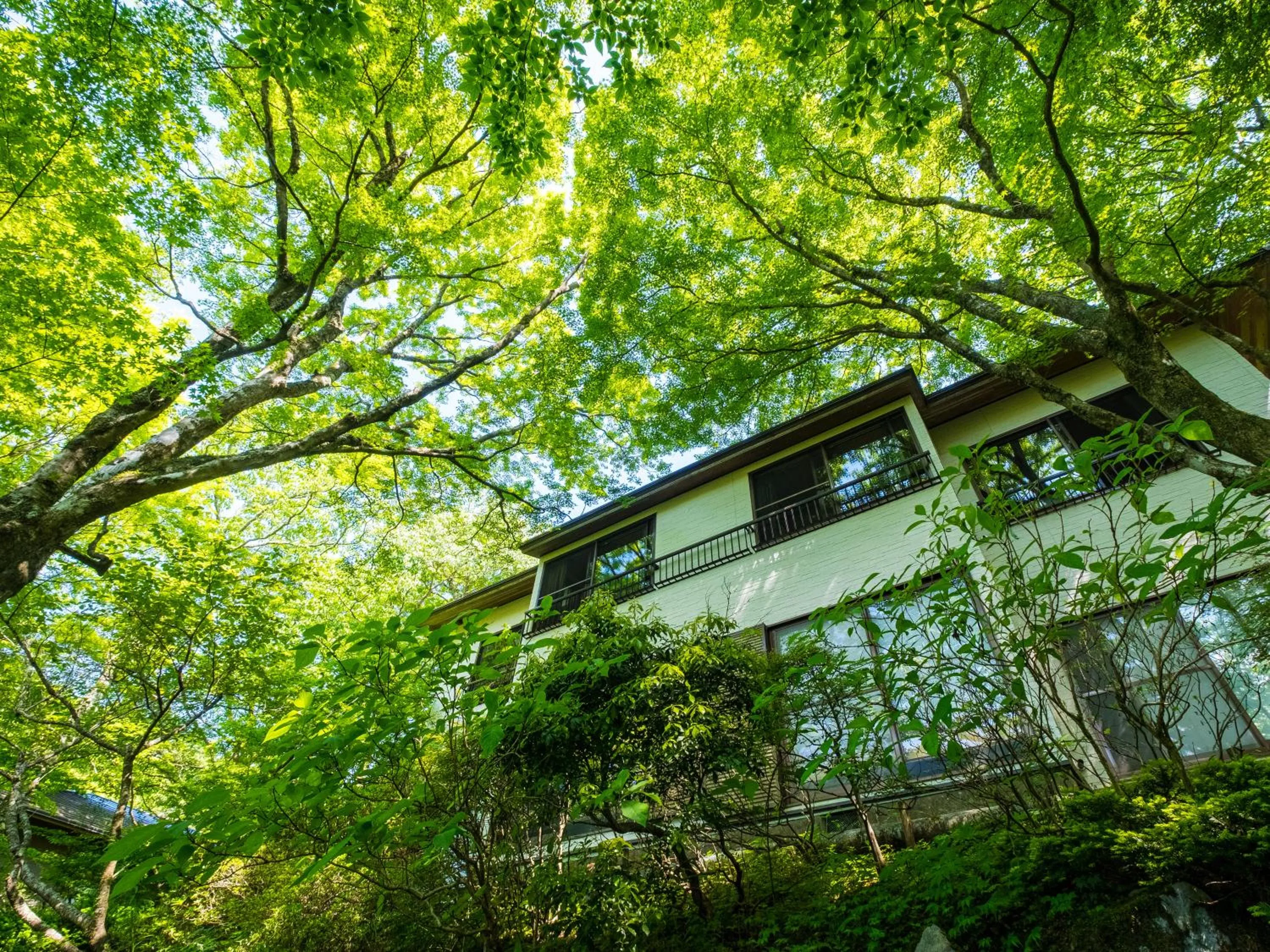 Facade/entrance in Hakone Onsen Sanso Nakamura