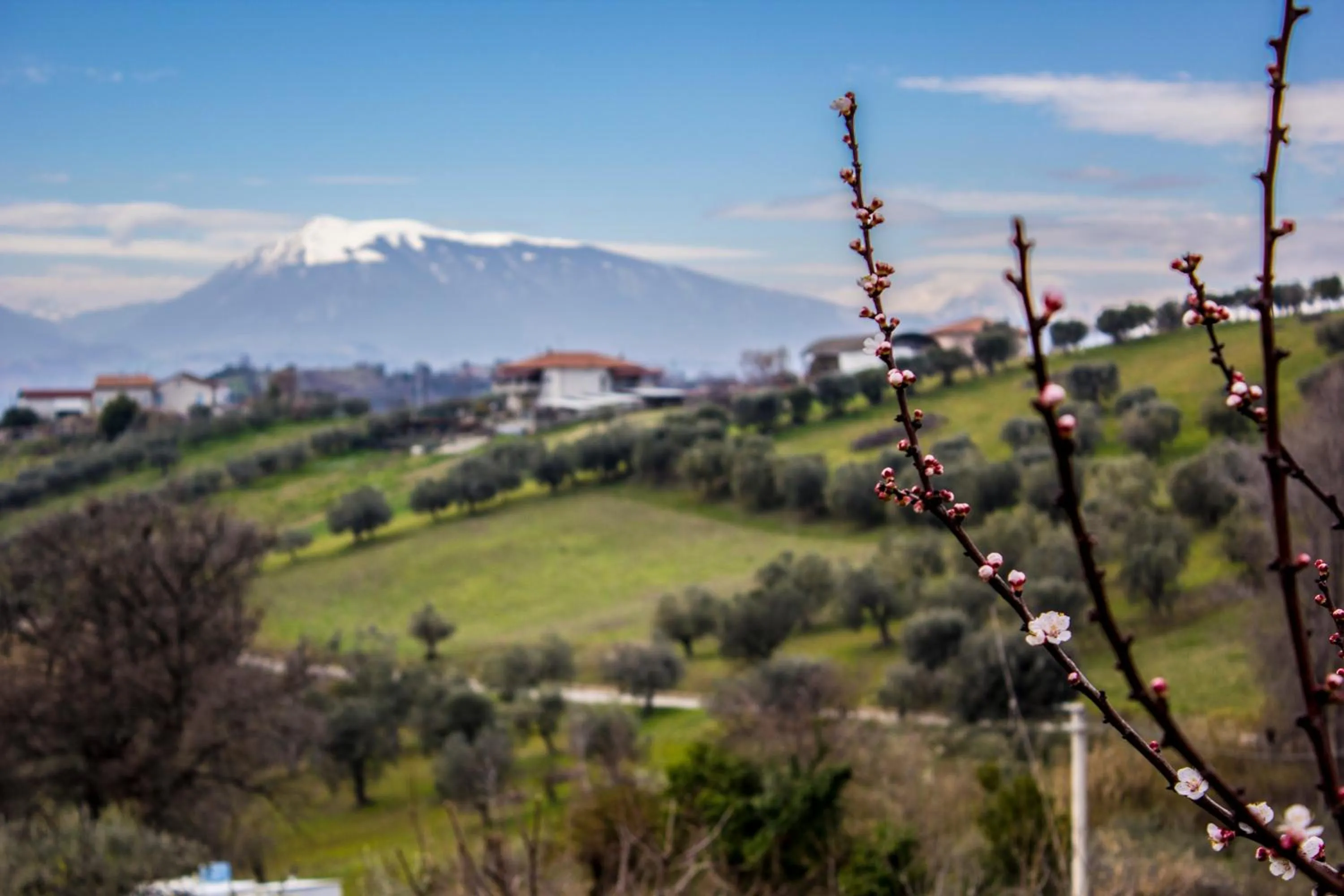 Natural landscape in Villa Lucia B&B