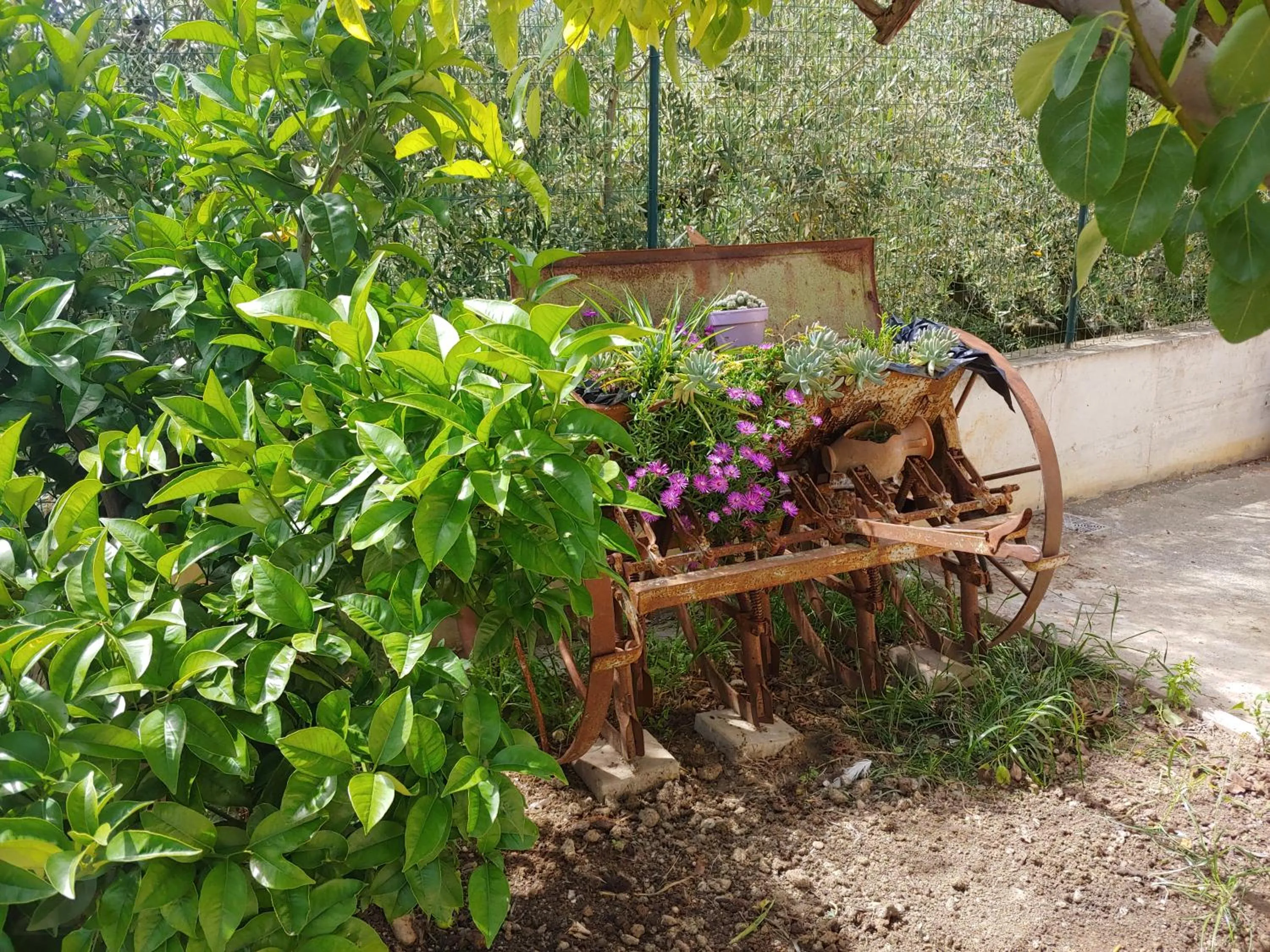 Patio in Villa Lucia B&B