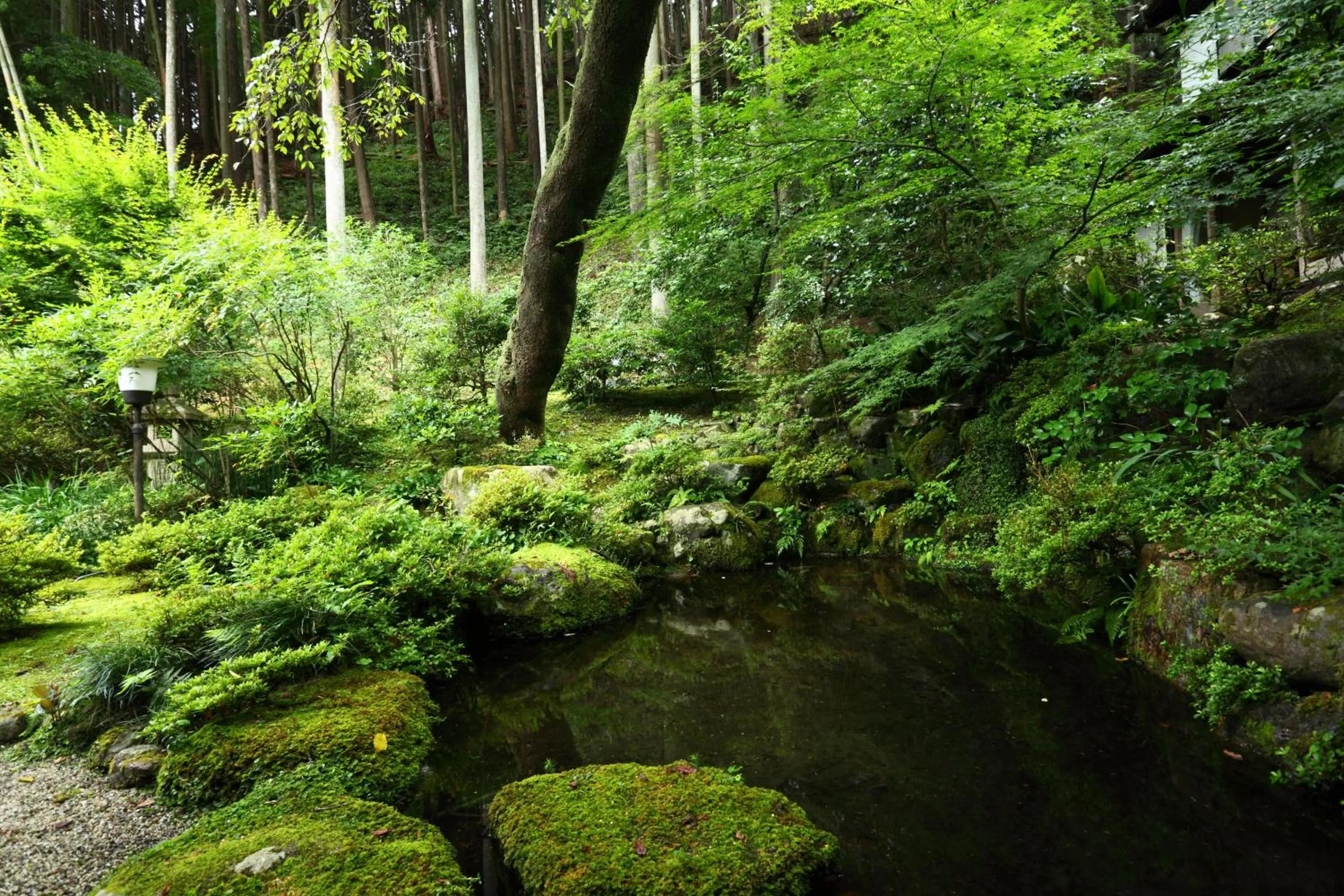 Garden in Kyo no Minshuku Ohara no Sato