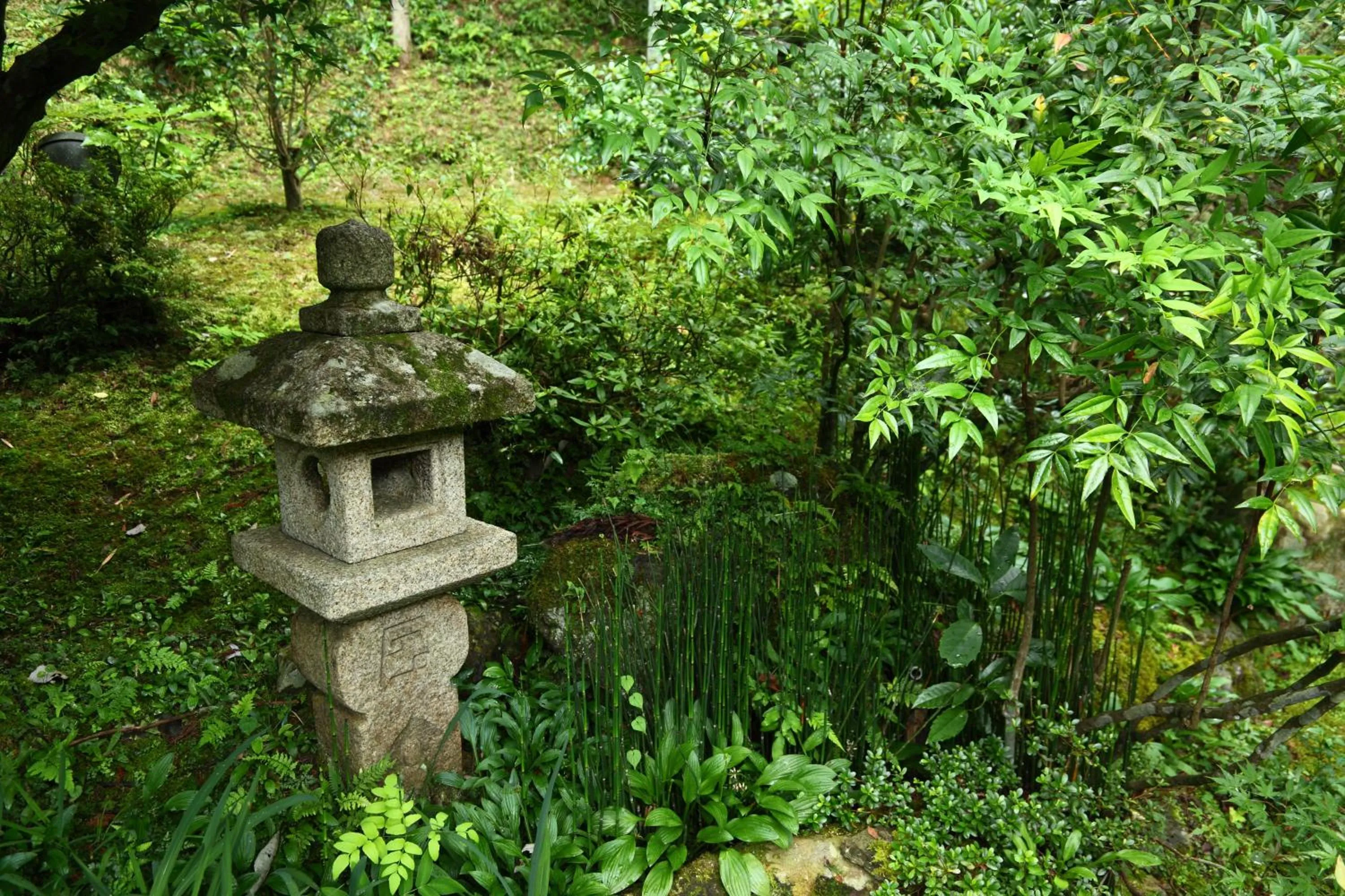 Garden in Kyo no Minshuku Ohara no Sato