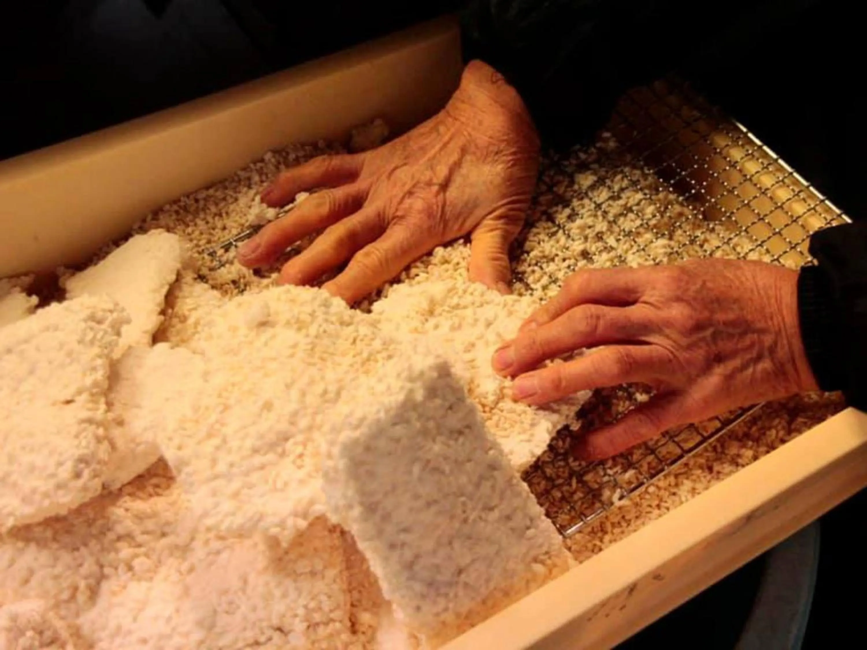 Food in Kyo no Minshuku Ohara no Sato