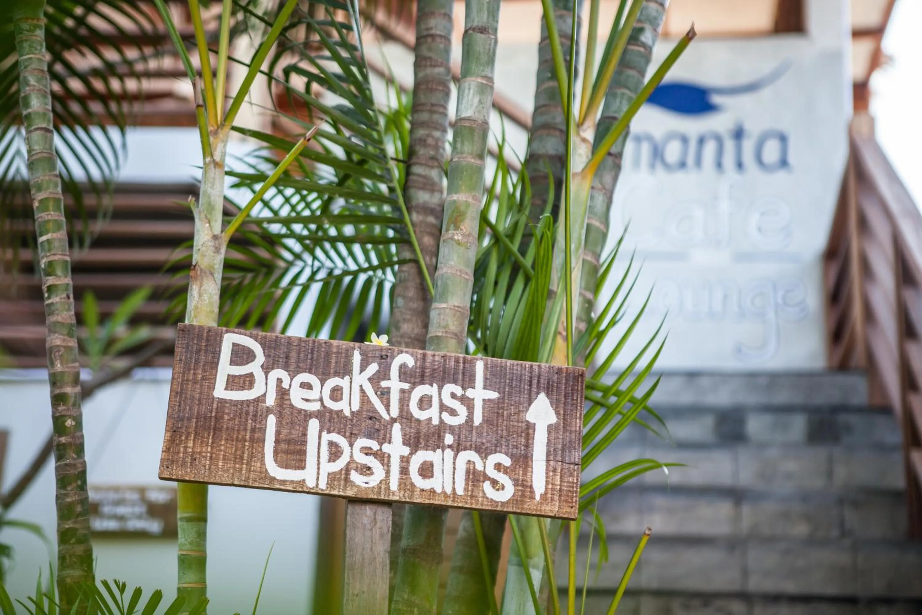 Area and facilities in Manta Dive Gili Trawangan Resort