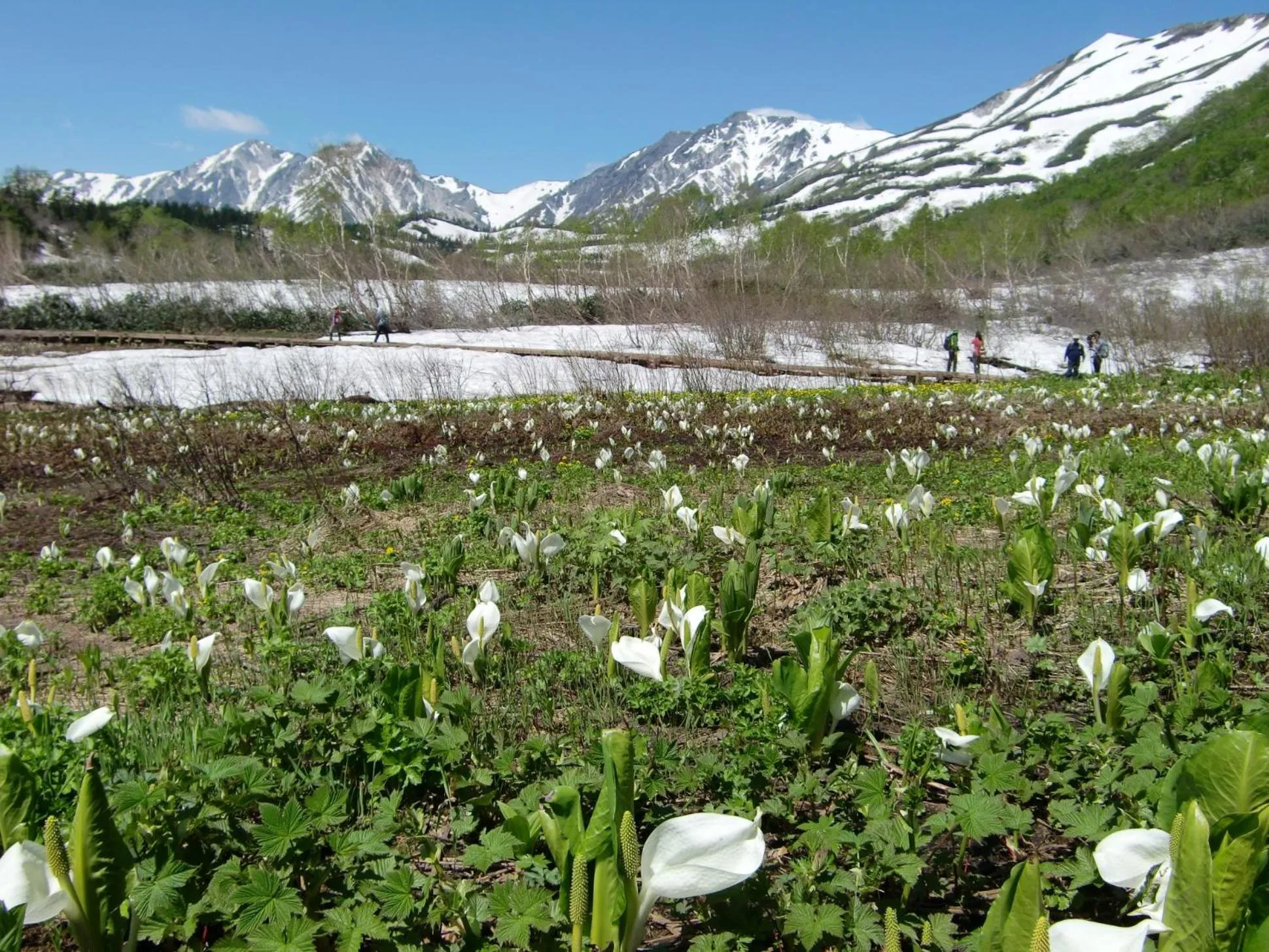 Nearby landmark in Hotel Sunplaza Tsugaike