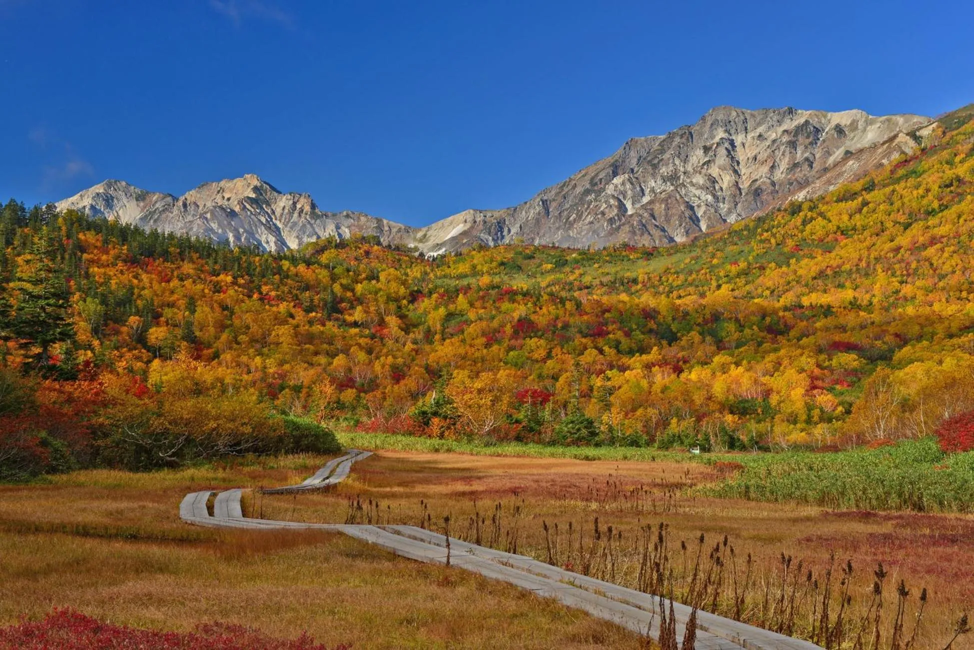 Nearby landmark in Hotel Sunplaza Tsugaike