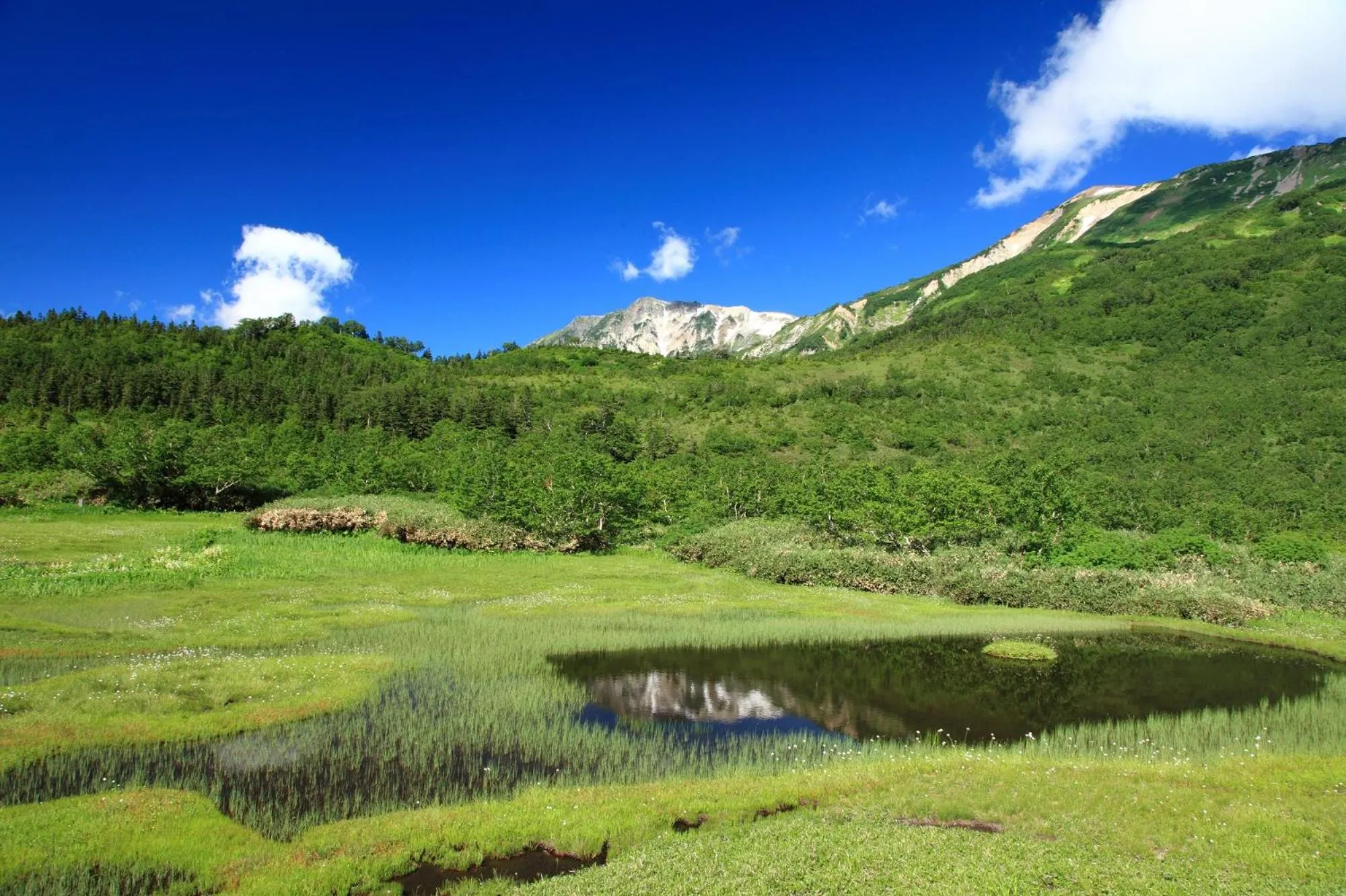 Nearby landmark in Hotel Sunplaza Tsugaike