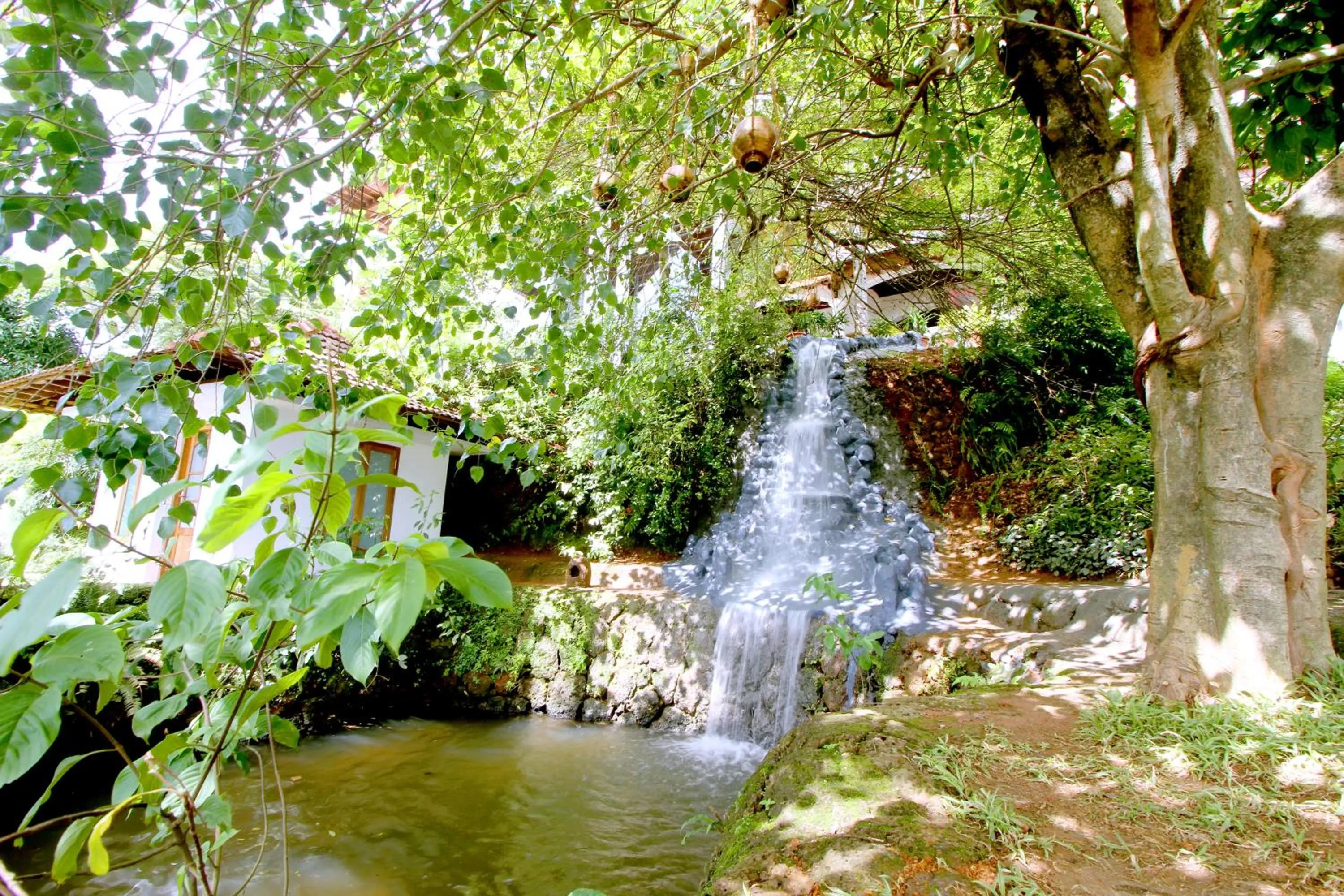 Restaurant/places to eat in The Leela Ashtamudi, A Raviz Hotel