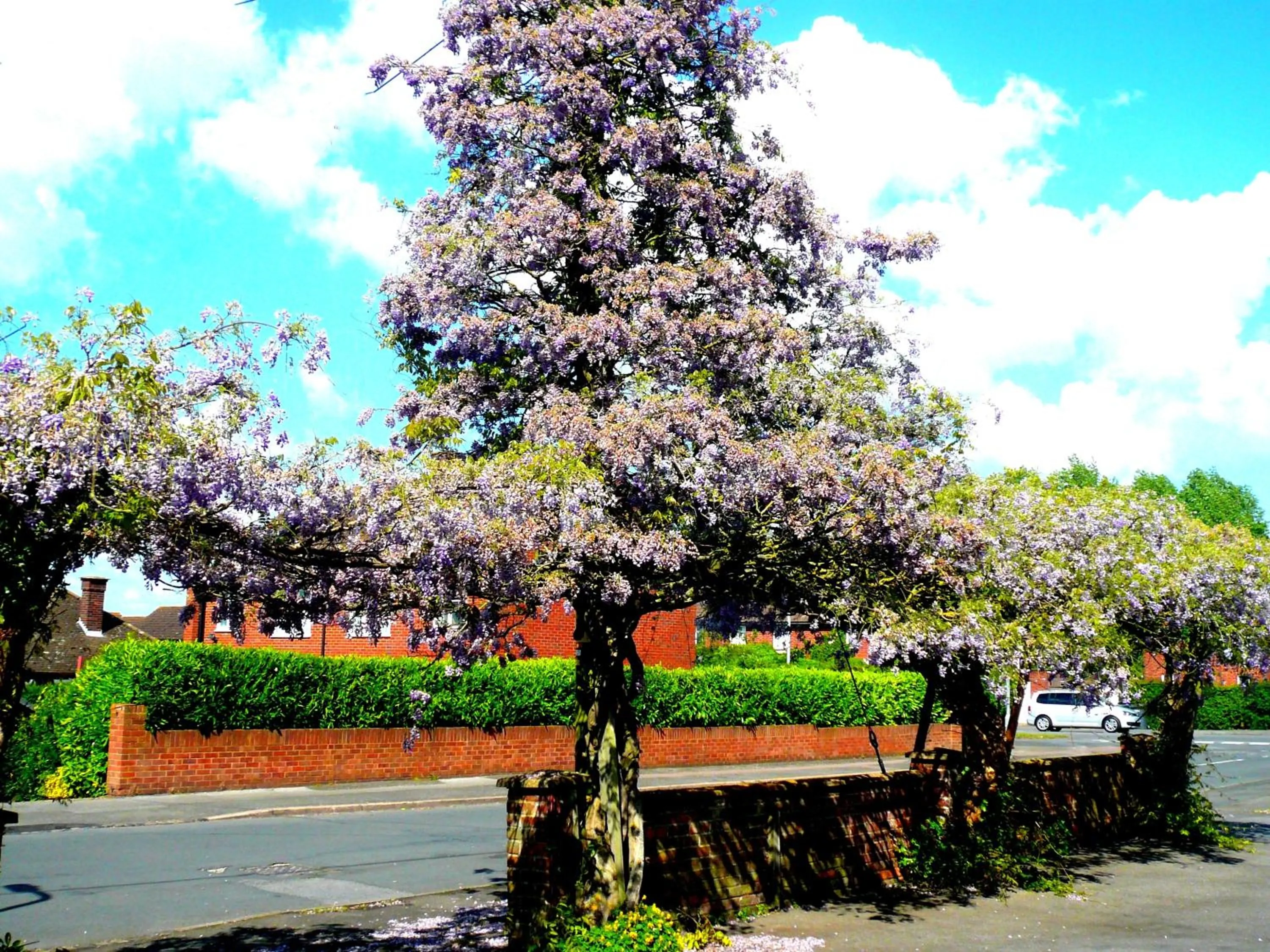 Day in Malvern House