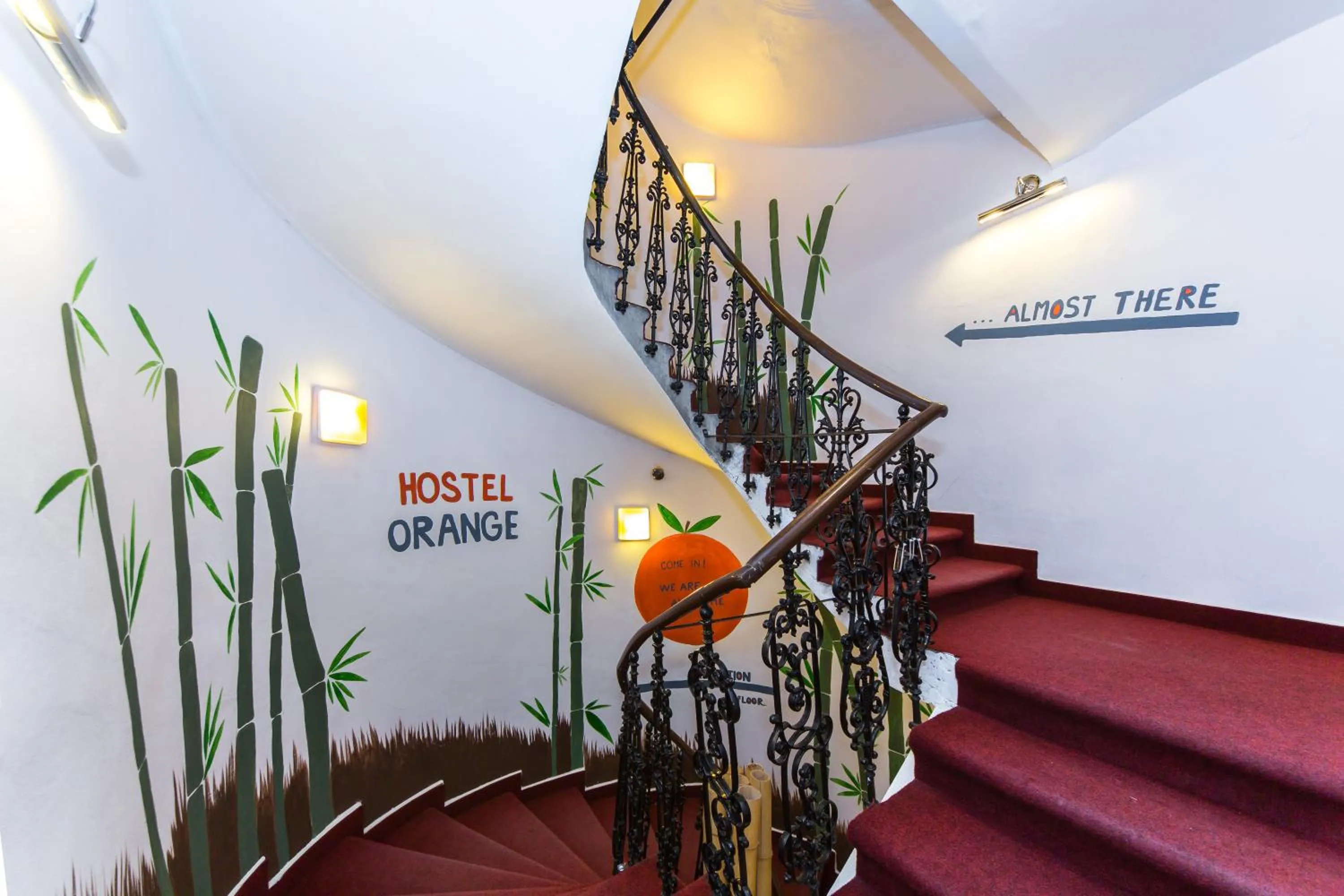 Area and facilities in Hostel Orange