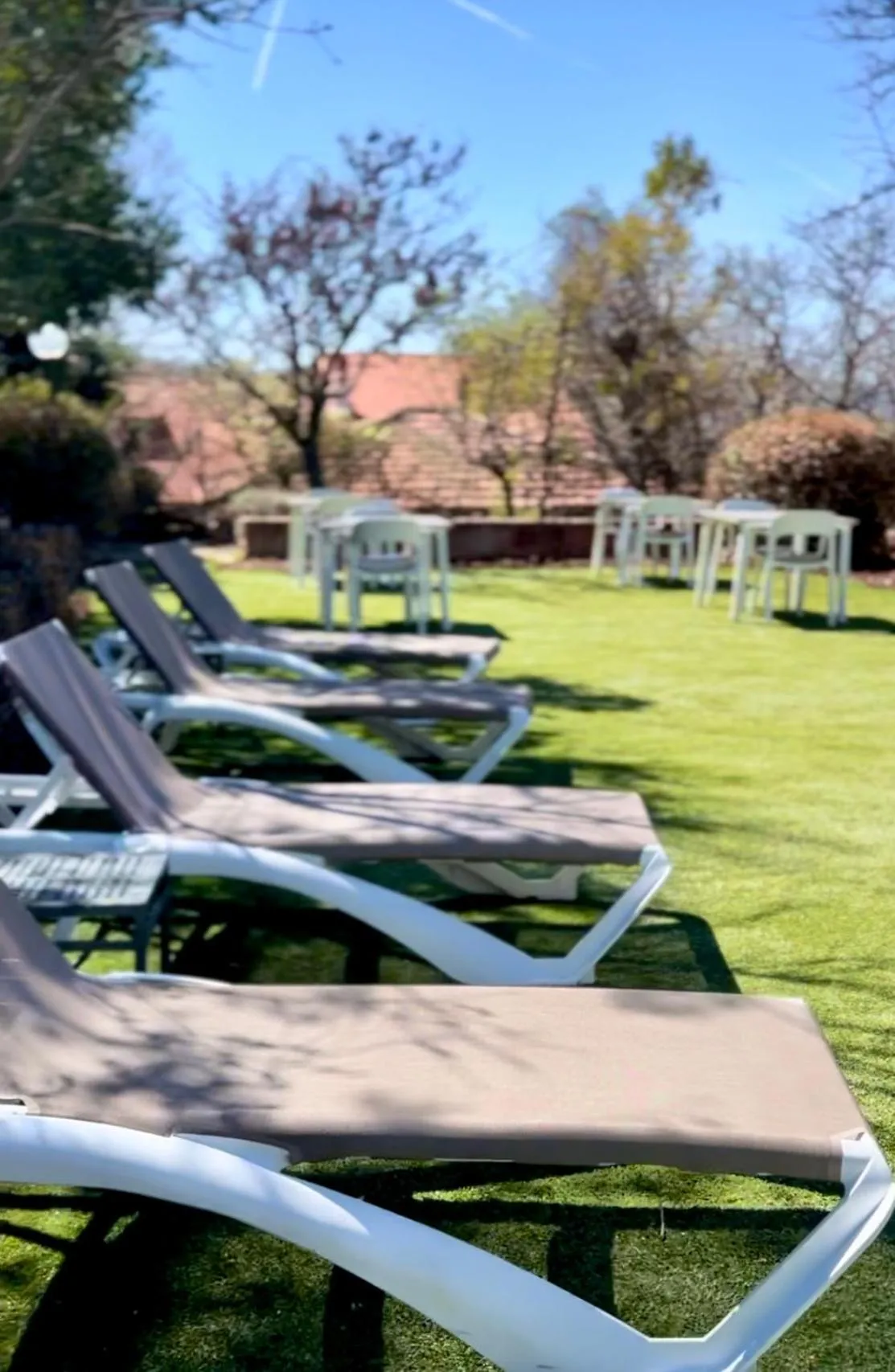 Natural landscape in Luces del Poniente