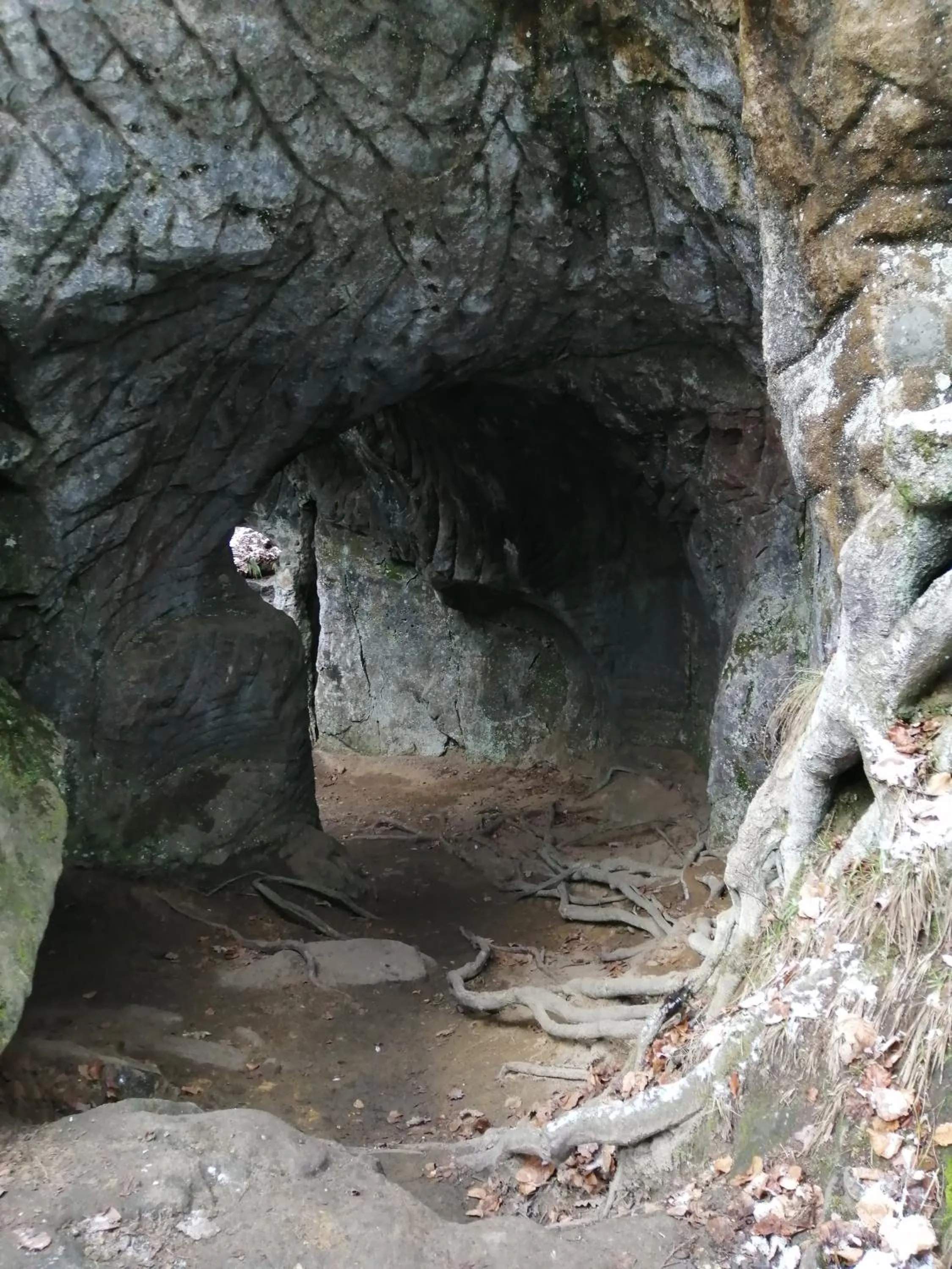 Landmark view in B&B De Boerderij
