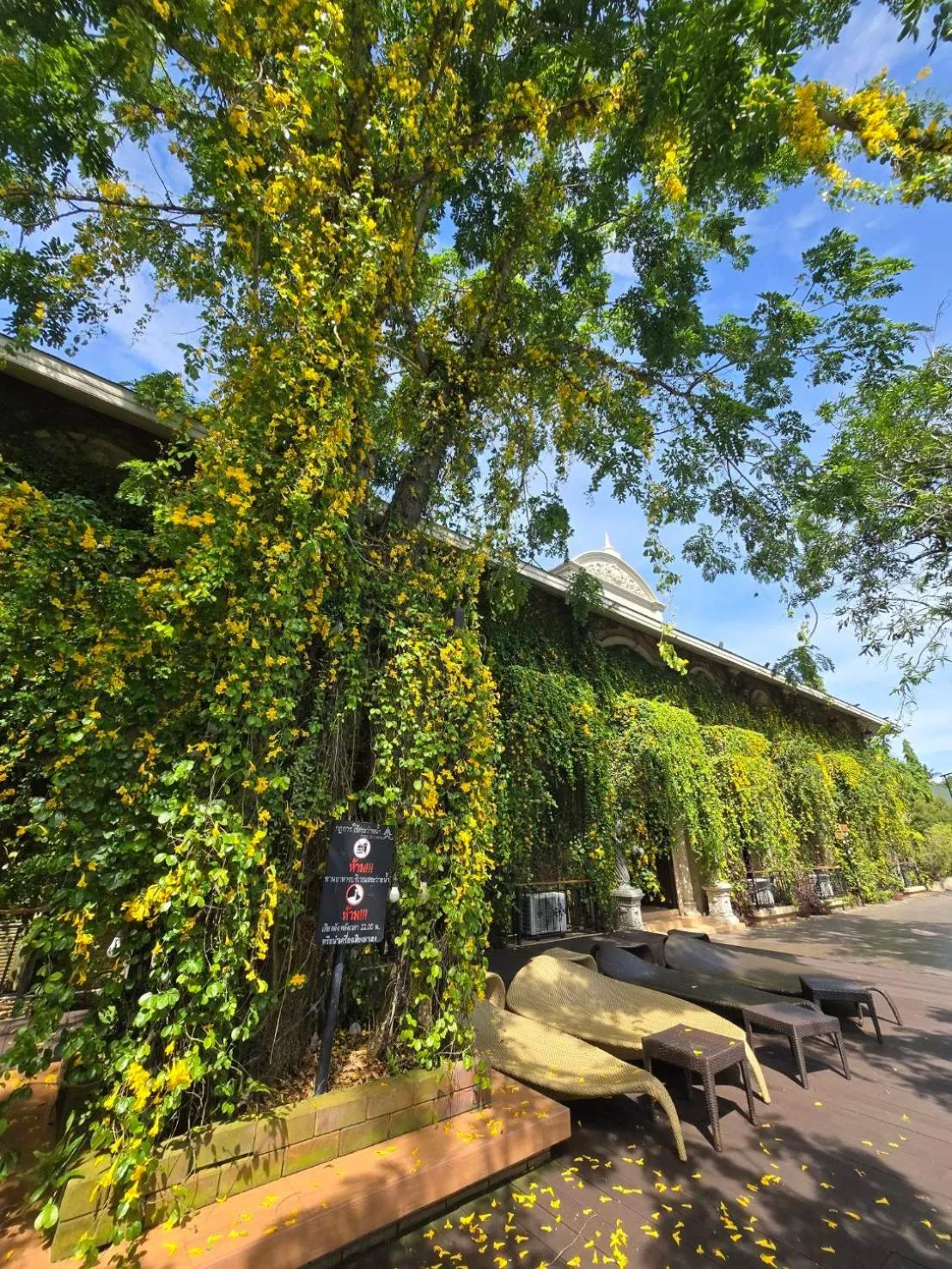 Natural landscape in Khum Damnoen Resort