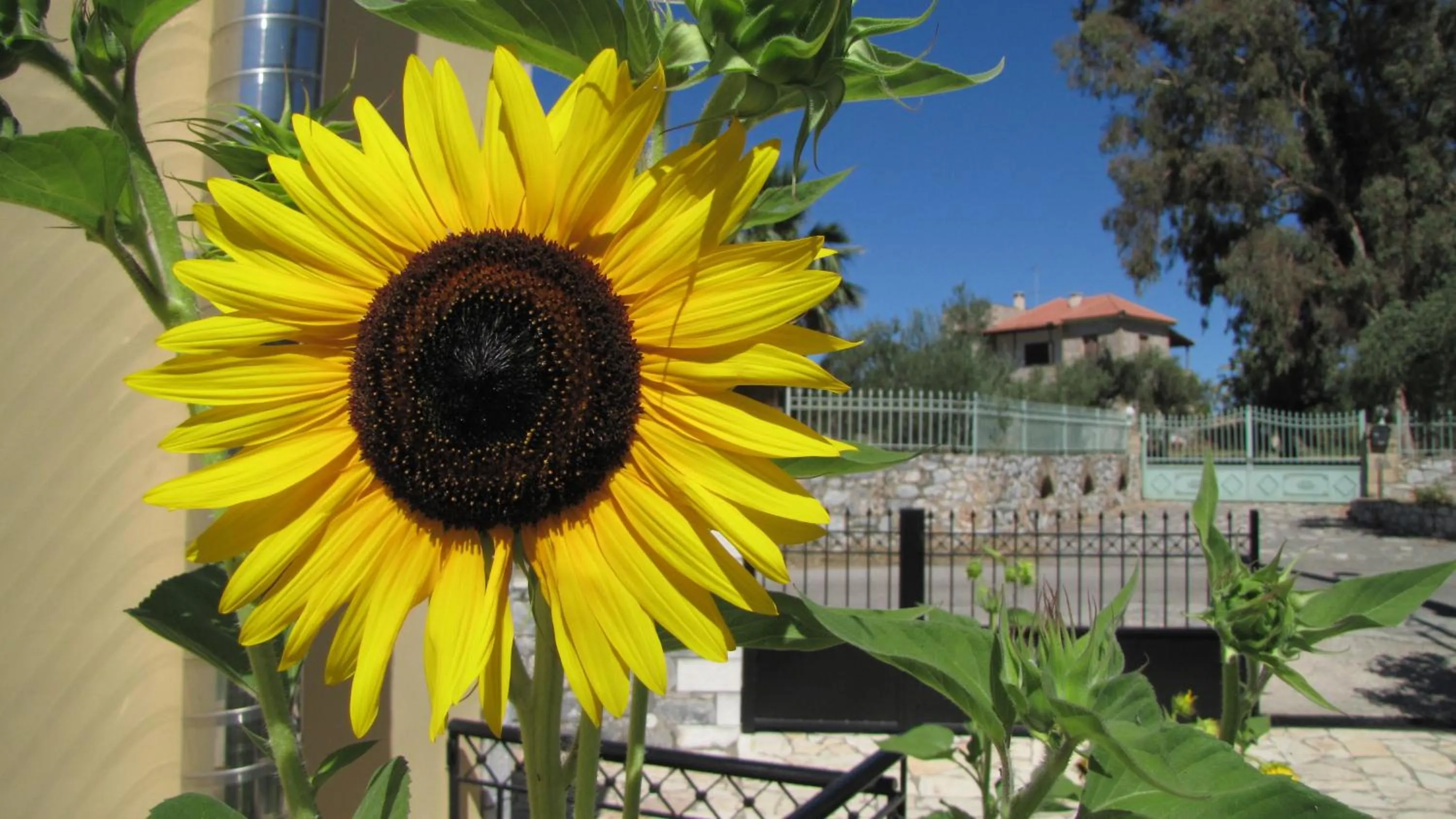 Day in Hotel Aphrodite