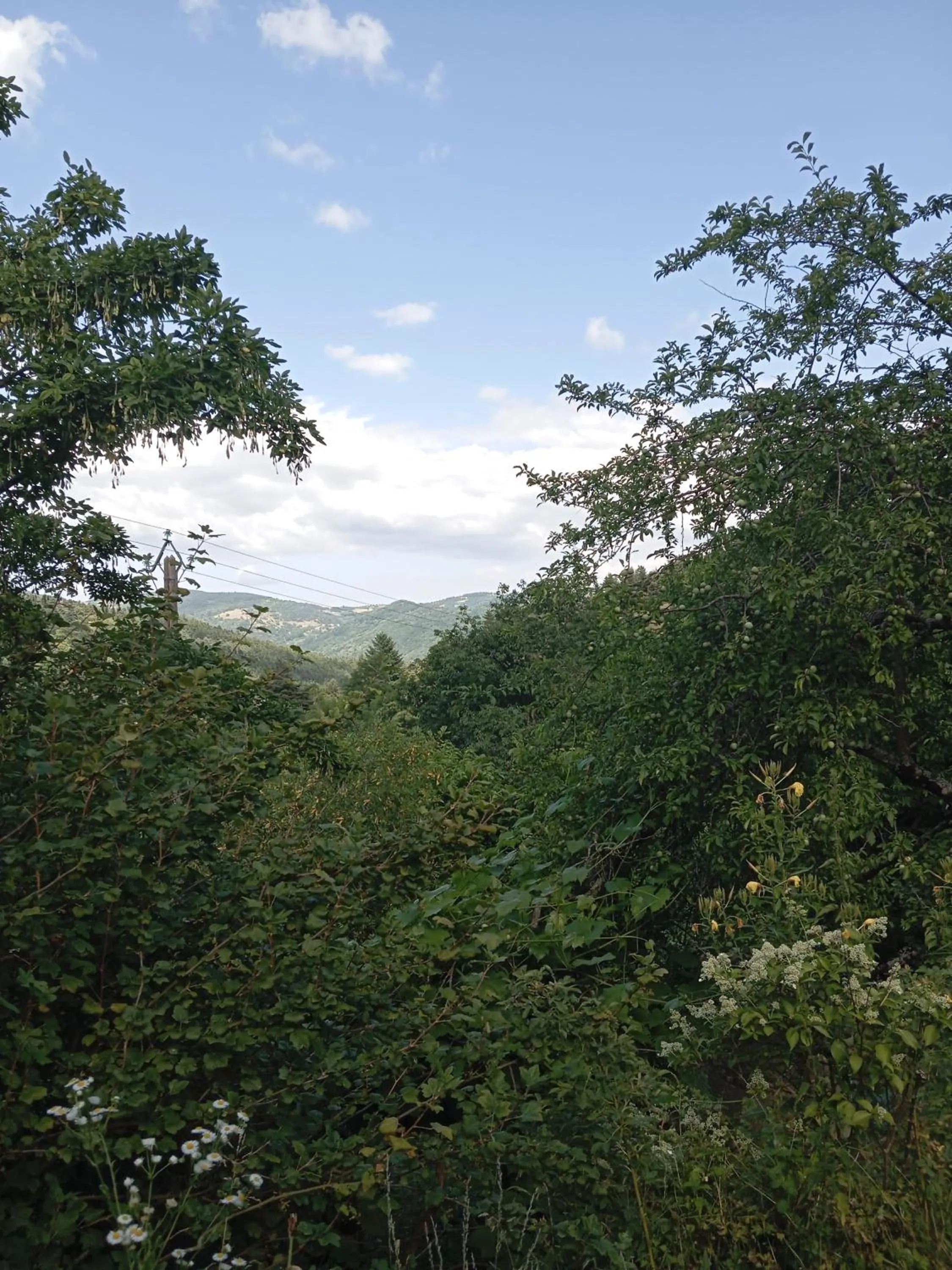 Au cœur de saint Agrève -Séjour Chez l'habitant