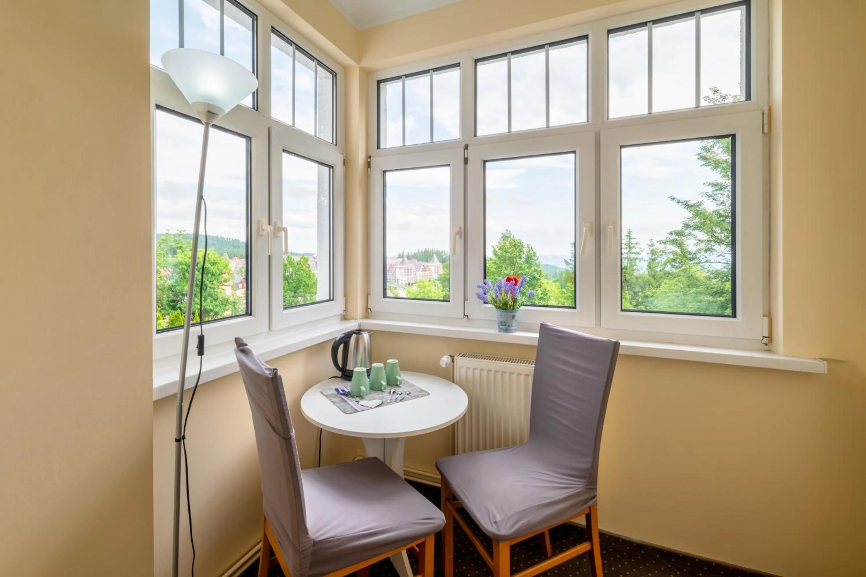 City view in Lawendowy Dworek