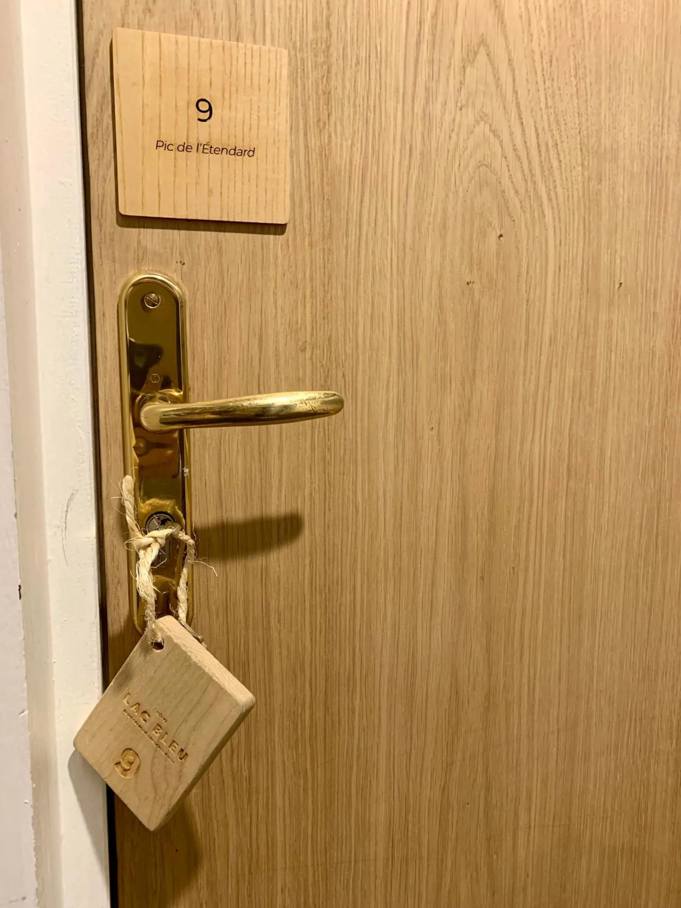 Decorative detail in Hotel Lac Bleu 1650