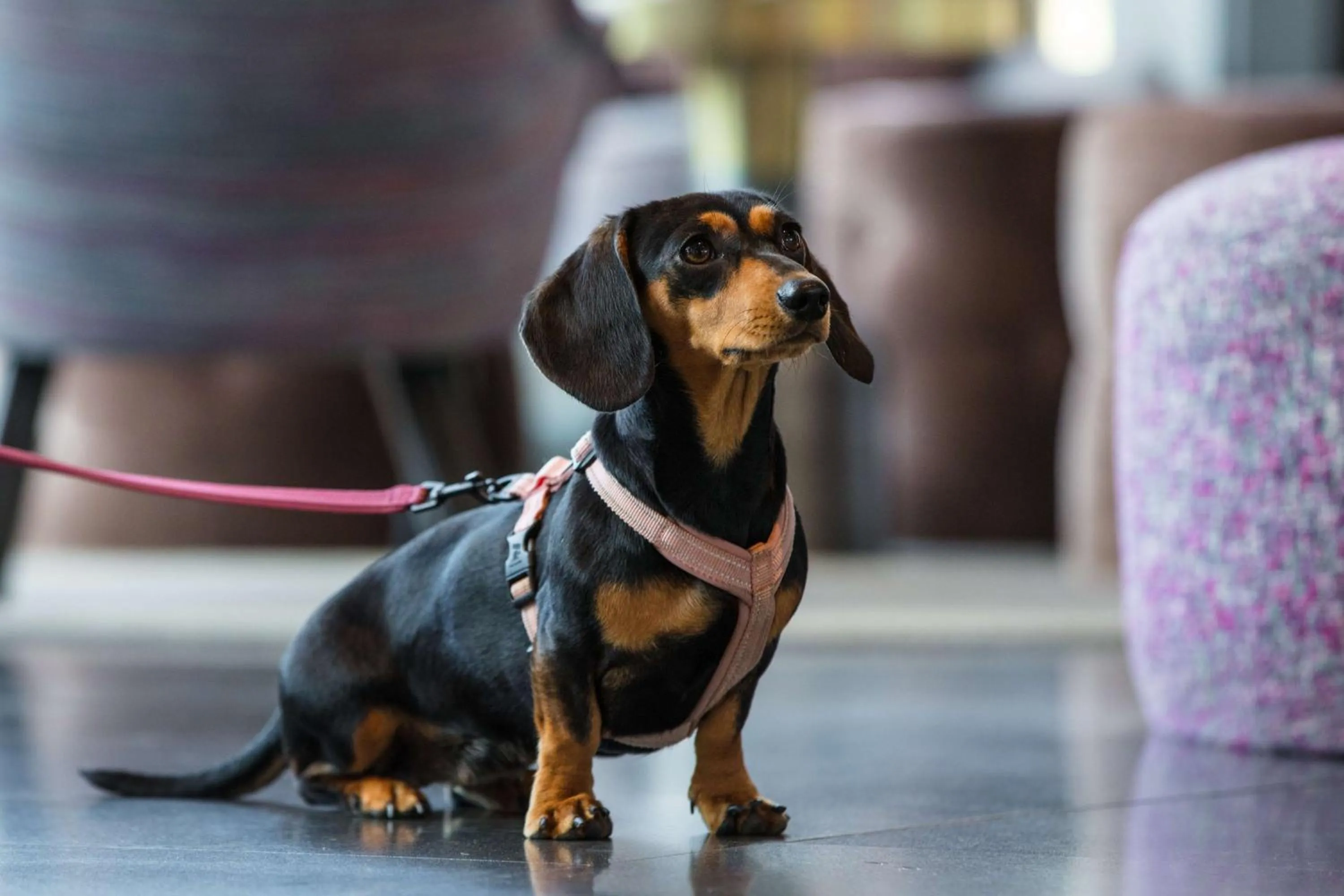 Other in Radisson Blu Hotel Uppsala